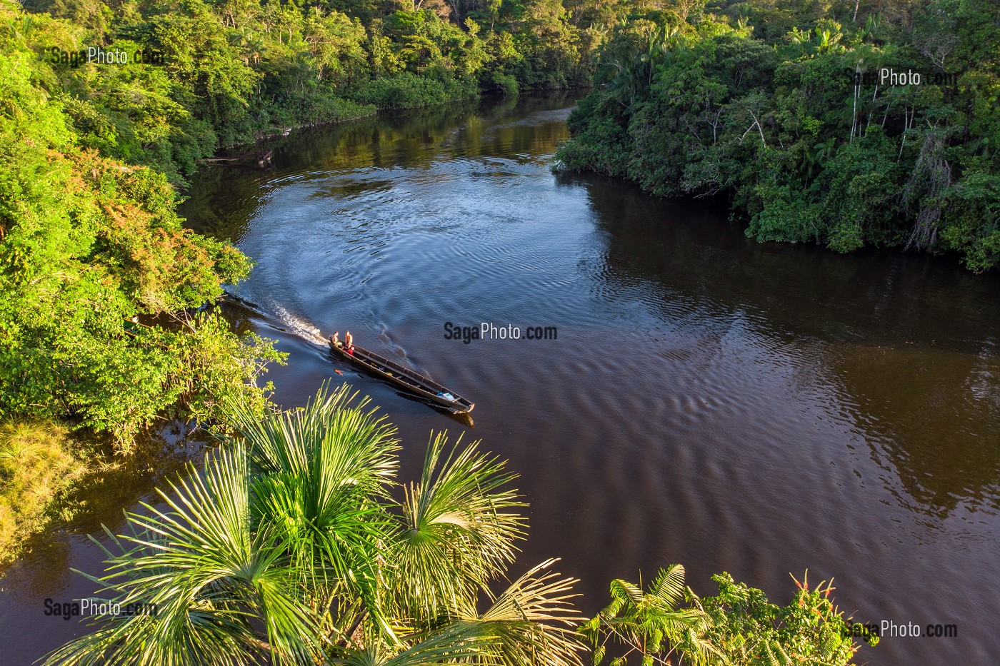 LA RIVIERE KOUROU AU MILIEU DE LA CANOPEE DE LA FORET AMAZONIENNE, GUYANE FRANCAISE, DEPARTEMENT-REGION D'OUTRE-MER, AMERIQUE DU SUD, FRANCE 