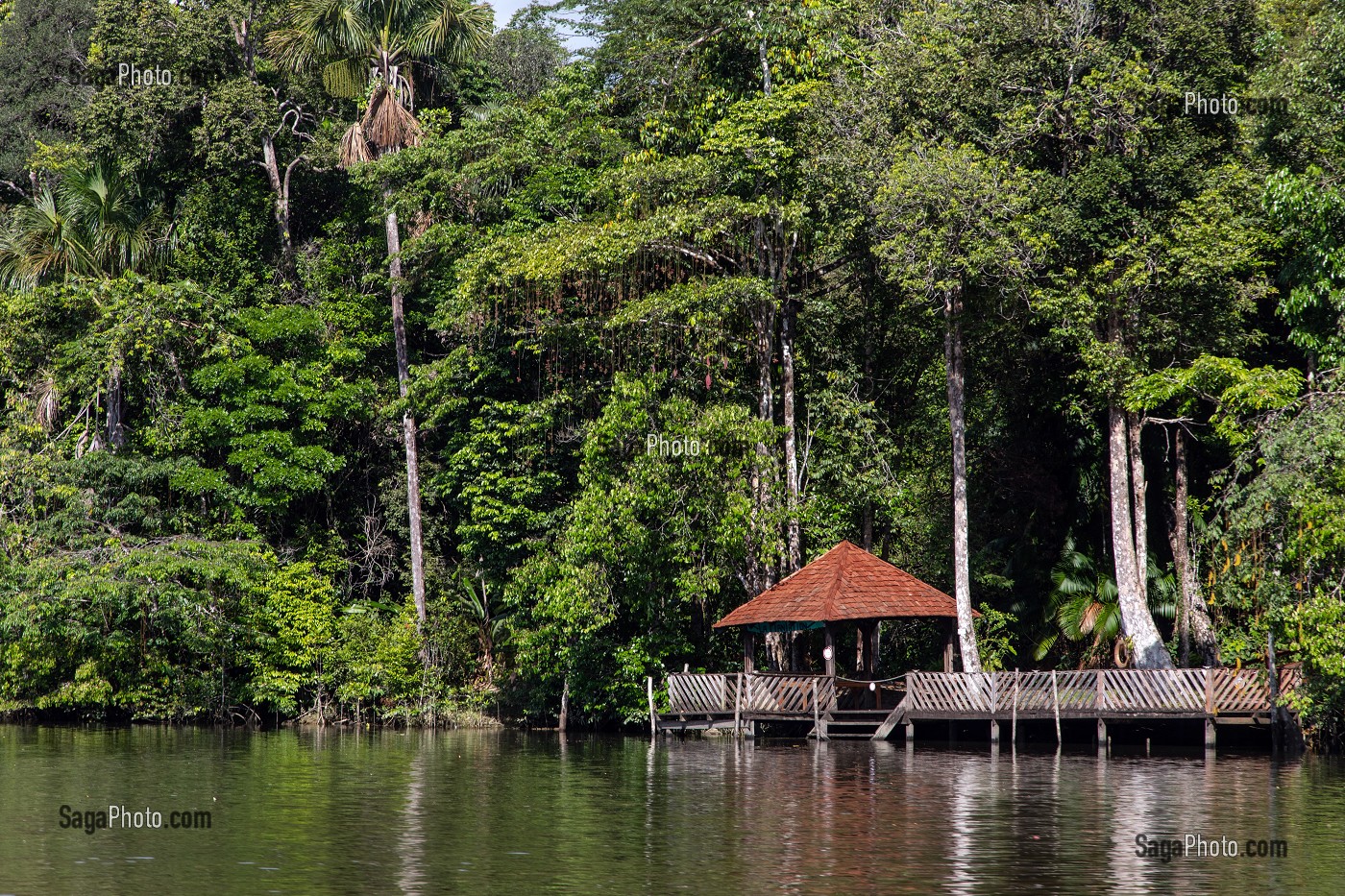 CARBET EN FORET AMAZONIENNE SUR LA RIVIERE COMTE, GUYANE FRANCAISE, DEPARTEMENT-REGION D'OUTRE-MER, AMERIQUE DU SUD, FRANCE 