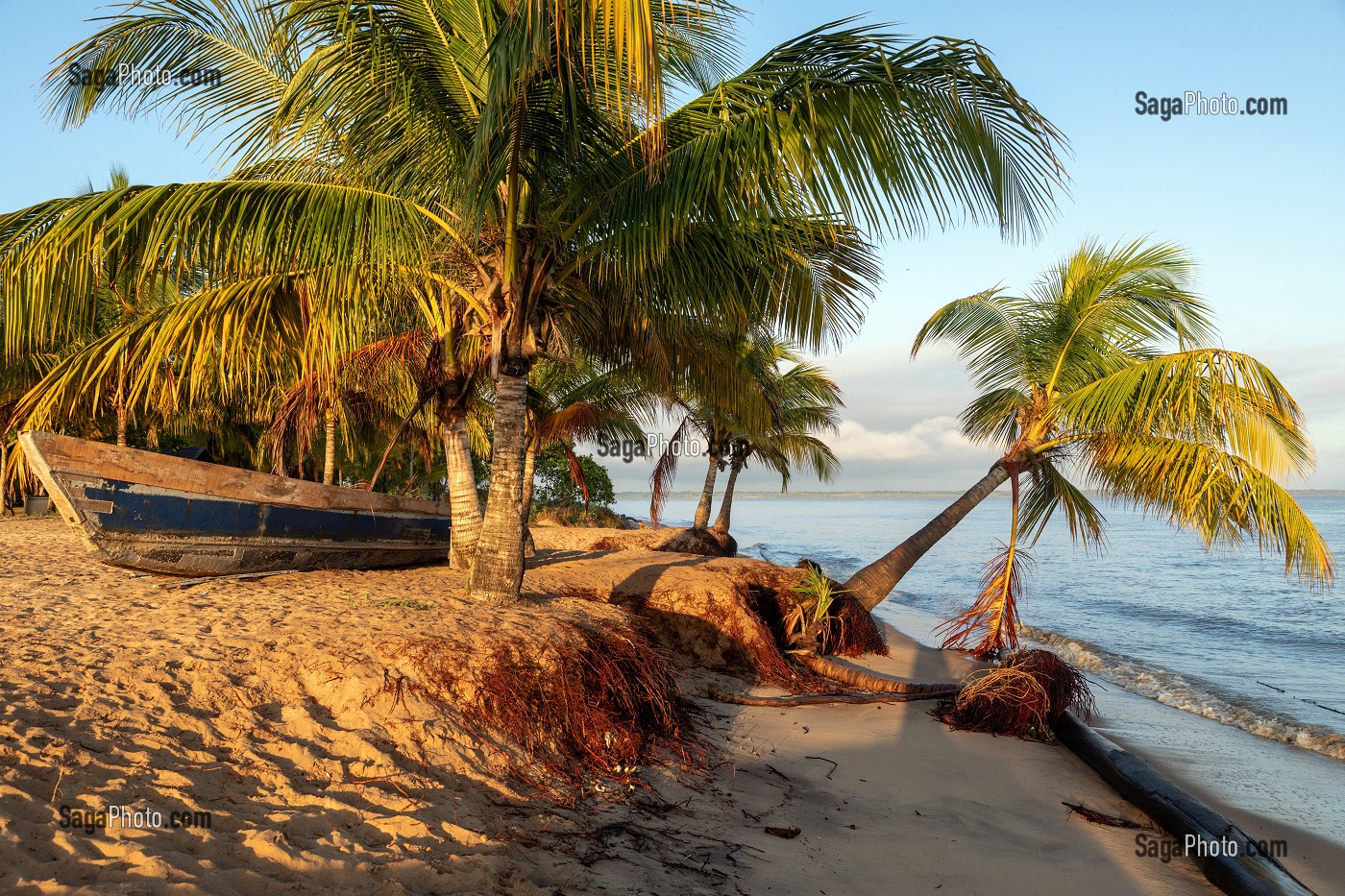 LES HATTES, PLAGE DE SABLE DU NORD A L'EMBOUCHURE DU MARONI, VILLAGE AMERINDIEN DE AWARA, RESERVE NATURELLE DE L'AMANA, COMMUNE DE MANA, GUYANE FRANCAISE, DEPARTEMENT-REGION D'OUTRE-MER, AMERIQUE DU SUD, FRANCE 