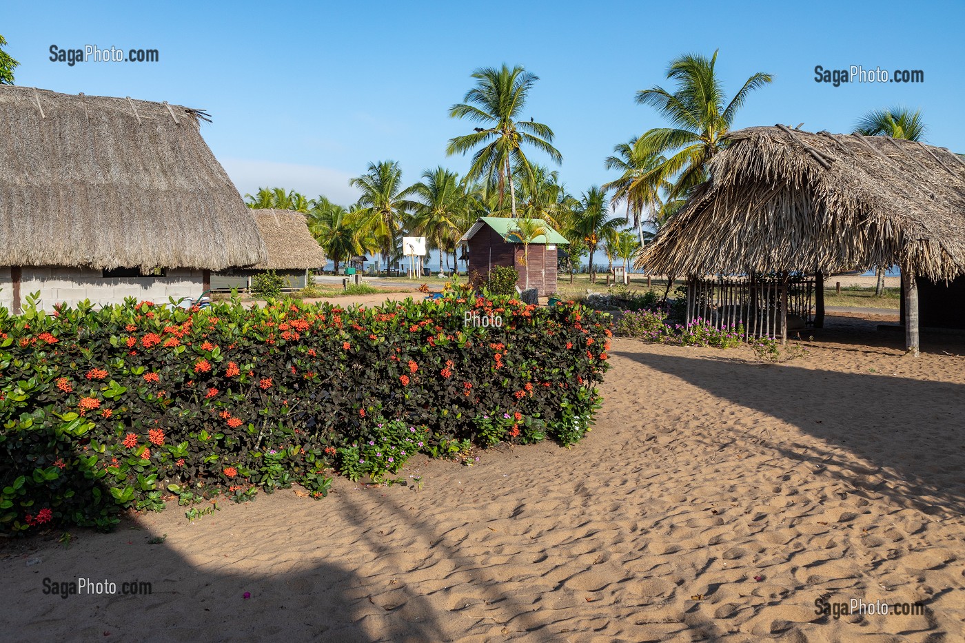 CARBET TRADITIONNEL EN BOIS DUR (AWARA) RECOUVERT DE FEUILLES DE PALMIERS POUR LES REUNIONS DE FAMILLE DU VILLAGE AMERINDIEN DE AWARA, RESERVE NATURELLE DE L'AMANA, COMMUNE DE MANA, GUYANE FRANCAISE, DEPARTEMENT-REGION D'OUTRE-MER, AMERIQUE DU SUD, FRANCE 