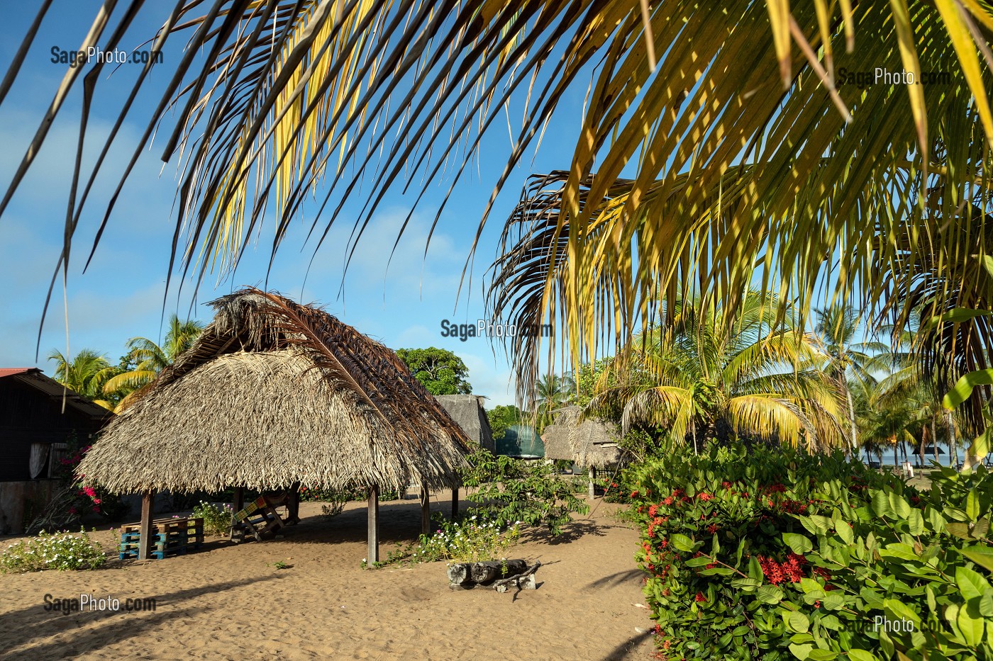 CARBET TRADITIONNEL EN BOIS DUR (AWARA) RECOUVERT DE FEUILLES DE PALMIERS POUR LES REUNIONS DE FAMILLE DU VILLAGE AMERINDIEN DE AWARA, RESERVE NATURELLE DE L'AMANA, COMMUNE DE MANA, GUYANE FRANCAISE, DEPARTEMENT-REGION D'OUTRE-MER, AMERIQUE DU SUD, FRANCE 