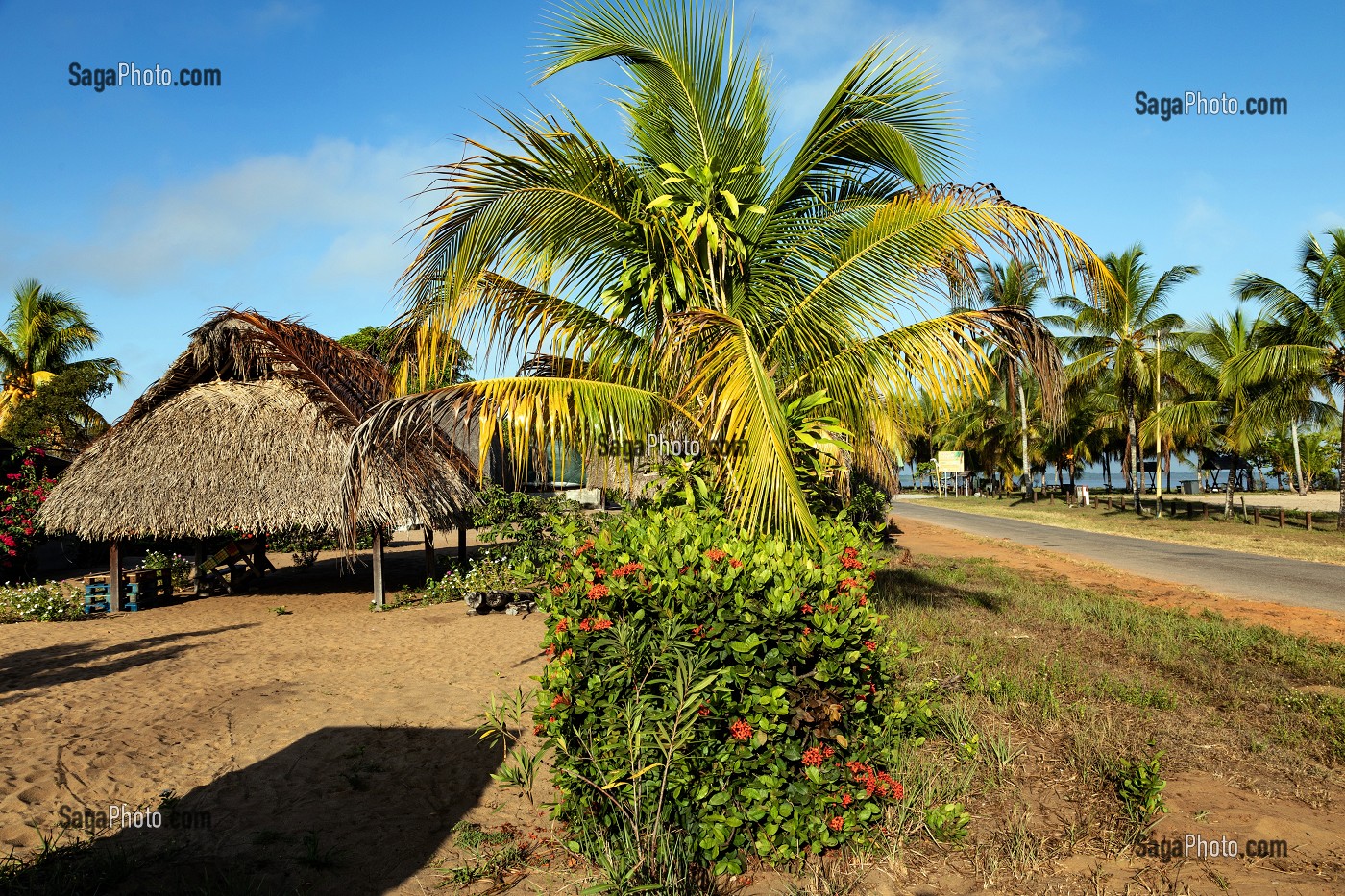 CARBET TRADITIONNEL EN BOIS DUR (AWARA) RECOUVERT DE FEUILLES DE PALMIERS POUR LES REUNIONS DE FAMILLE DU VILLAGE AMERINDIEN DE AWARA, RESERVE NATURELLE DE L'AMANA, COMMUNE DE MANA, GUYANE FRANCAISE, DEPARTEMENT-REGION D'OUTRE-MER, AMERIQUE DU SUD, FRANCE 