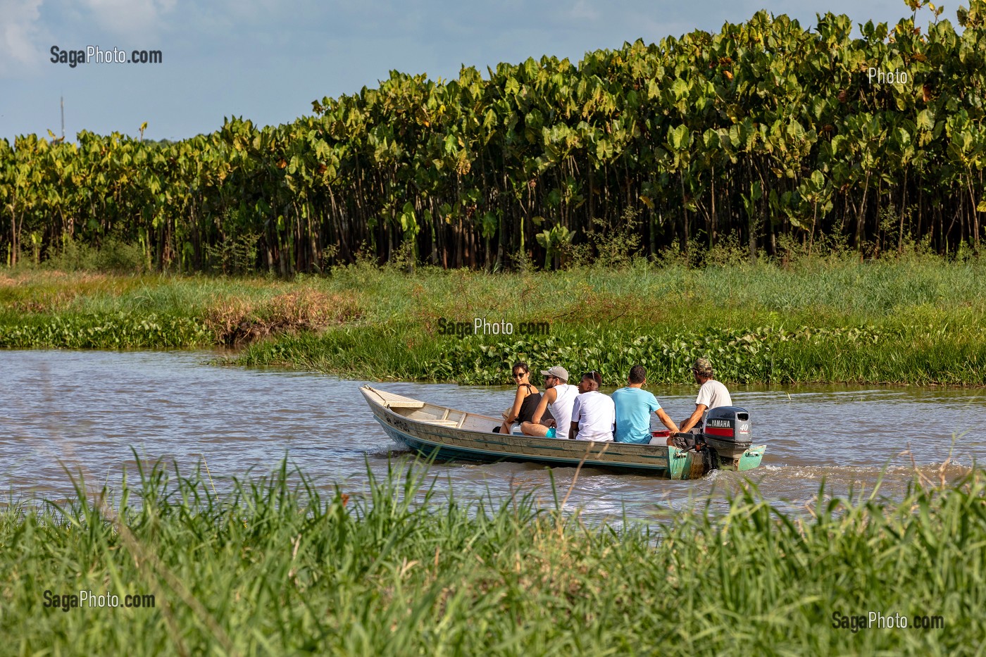 BATEAU DE TOURISTE SUR LE MARAIS DE KAW, ROURA, GUYANE FRANCAISE, DEPARTEMENT-REGION D'OUTRE-MER, AMERIQUE DU SUD, FRANCE 