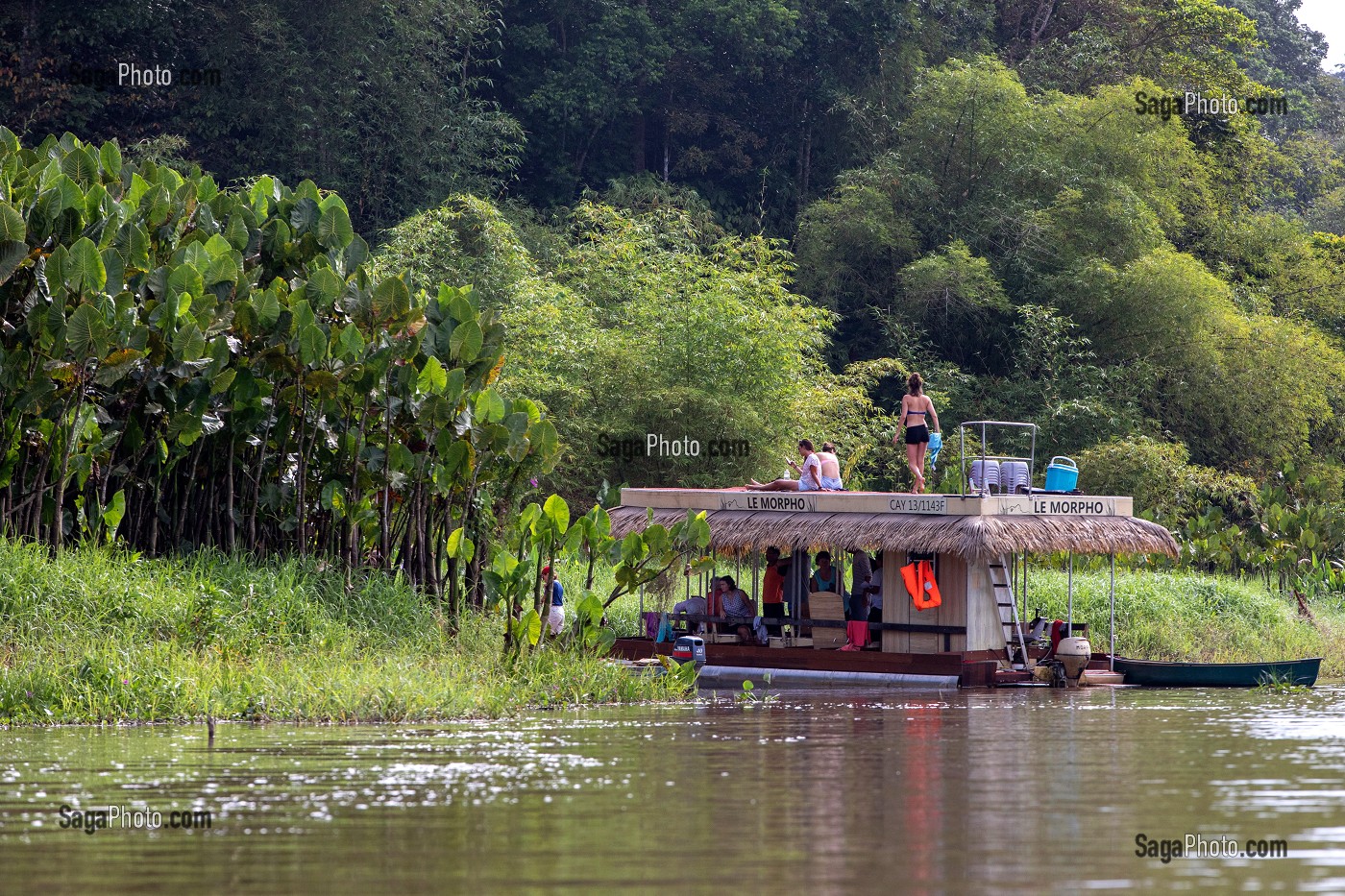 ECO LODGE FLOTTANT 'LE MORPHO' DANS LA RESERVE NATURELLE DU MARAIS DE KAW, ROURA, GUYANE FRANCAISE, DEPARTEMENT-REGION D'OUTRE-MER, AMERIQUE DU SUD, FRANCE 