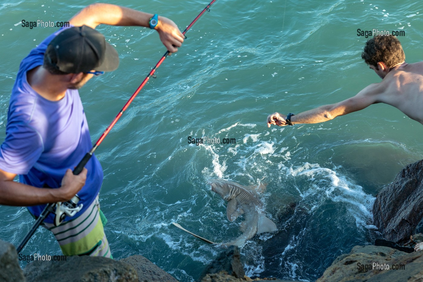 PECHEURS A LA LIGNE ATTRAPANT UN PETIT REQUIN, ILE ROYALE, ILE DU SALUT, KOUROU, GUYANE FRANCAISE, DEPARTEMENT-REGION D'OUTRE-MER, AMERIQUE DU SUD, FRANCE 