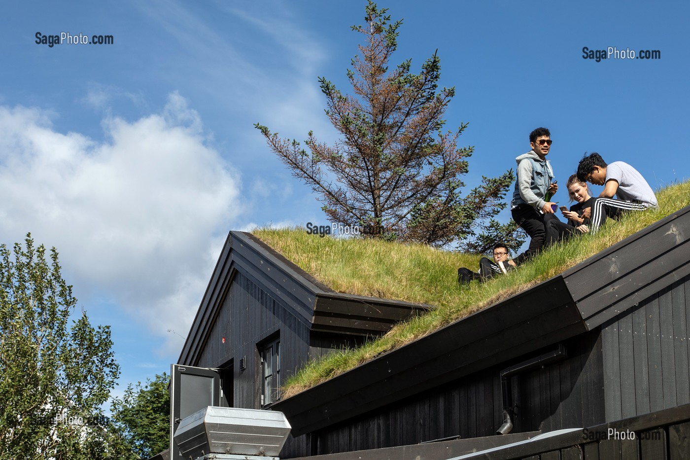 ENFANTS SUR UN TOIT EN HERBE, TOITURE VEGETALE POUR L'ISOLATION DES MAISONS, REYKJAVIK, ISLANDE 