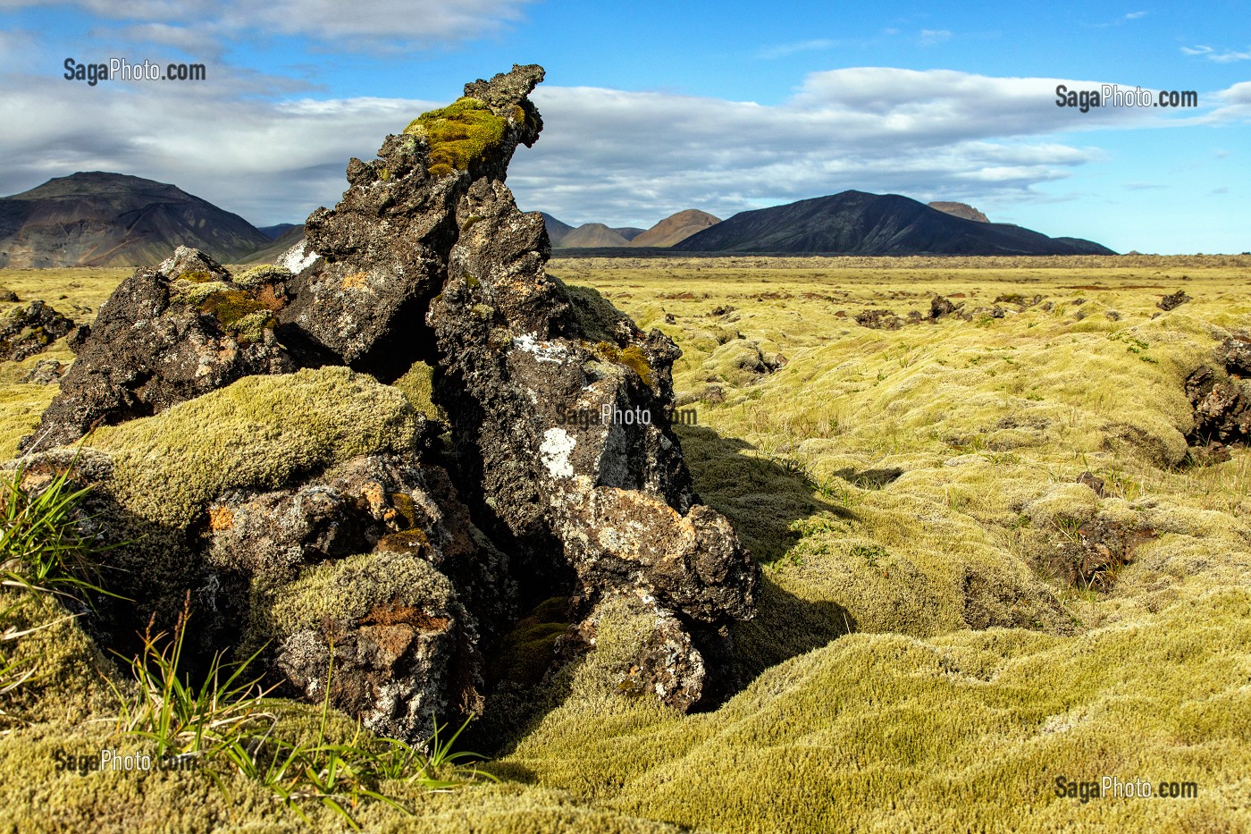 ROCHE VOLCANIQUE ET TOURBIERE RECOUVERT DE MOUSSE PAYSAGE TYPIQUE ISLANDAIS, HENGILL, ISLANDE 