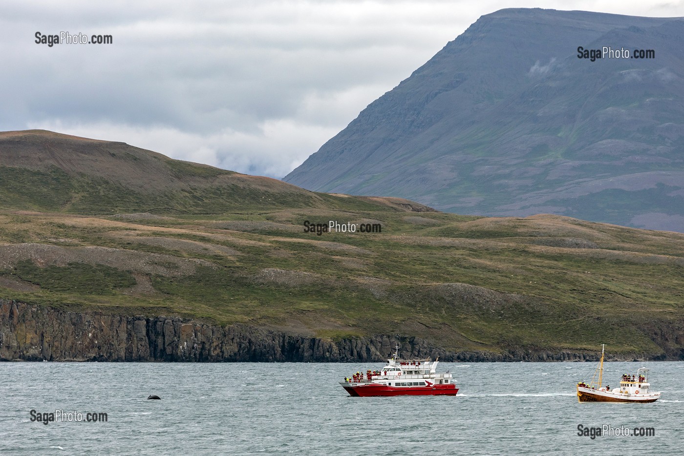 BATEAU D'OBSERVATION DES BALEINES, SUR LE FJORD D'AKURERYRI, ISLANDE 