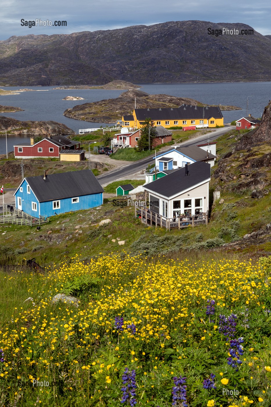 MAISONS TRADITIONNELLES COLOREES EN BOIS DEVANT LE FJORD, VILLE DE QAQORTOQ, GROENLAND, DANEMARK 