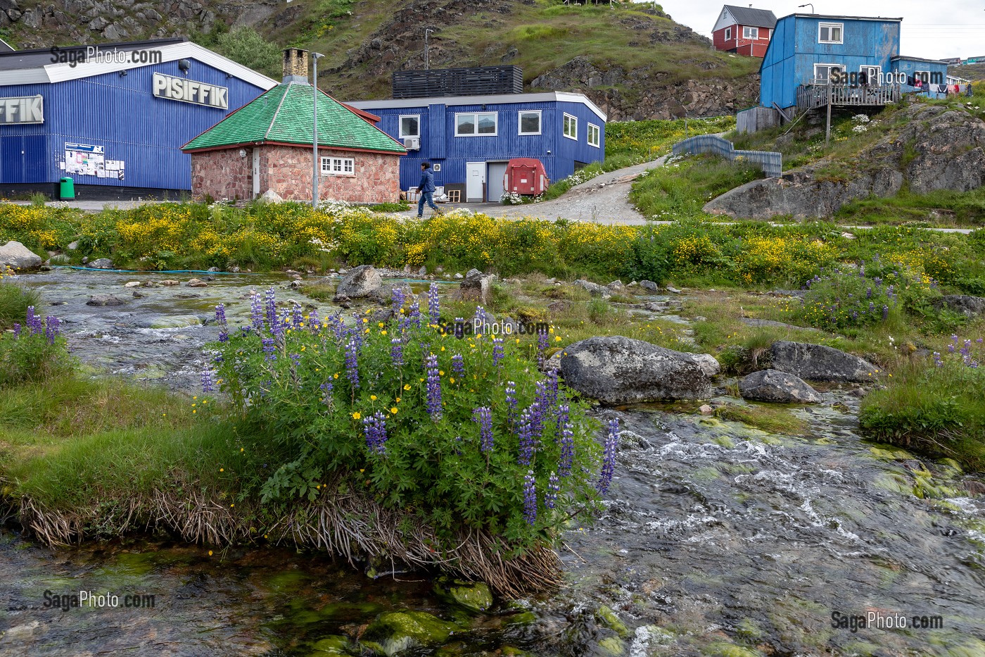 SUPERMARCHE LE PISIFFIK, VILLE DE QAQORTOQ, GROENLAND, DANEMARK 