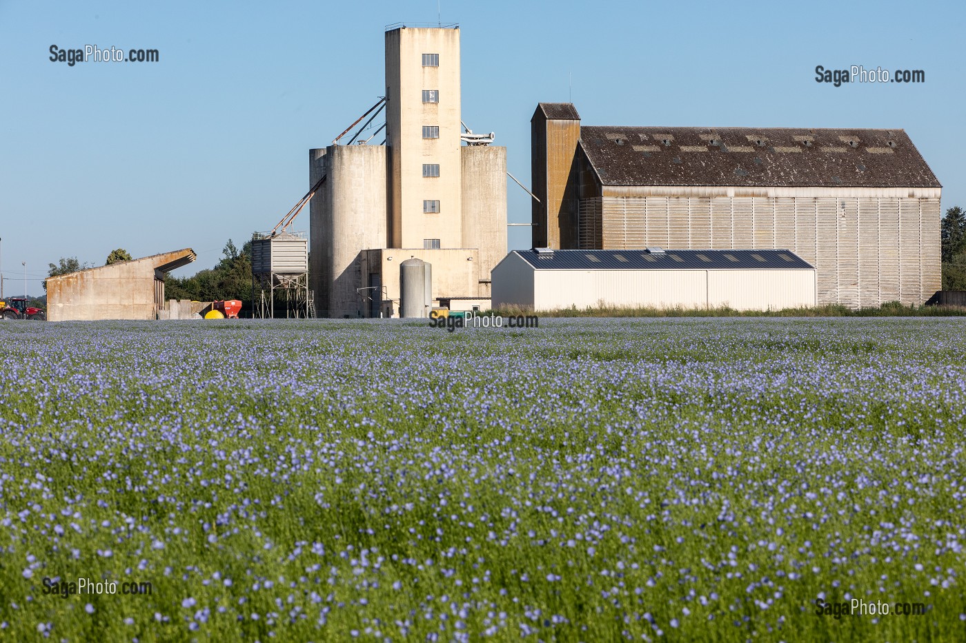 CHAMPS DE LIN EN FLEURS DEVANT LE SILO A GRAIN DE BOIS-ARNAULT, RUGLES (27), FRANCE 