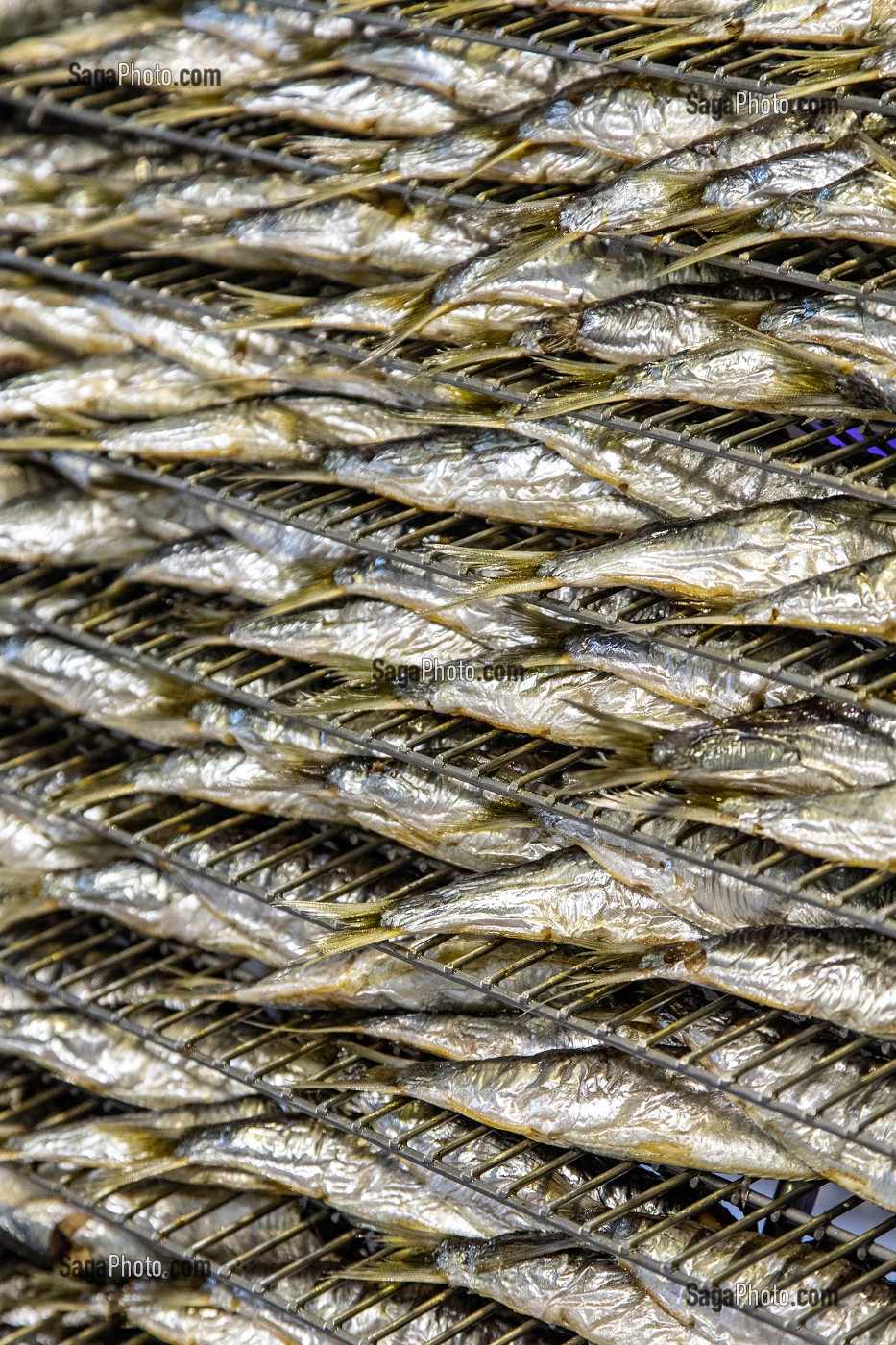 SORTIE DE CUISSON DES SARDINES, CONSERVERIE LA BELLE-ILOISE, QUIBERON, MORBIHAN (56), FRANCE 