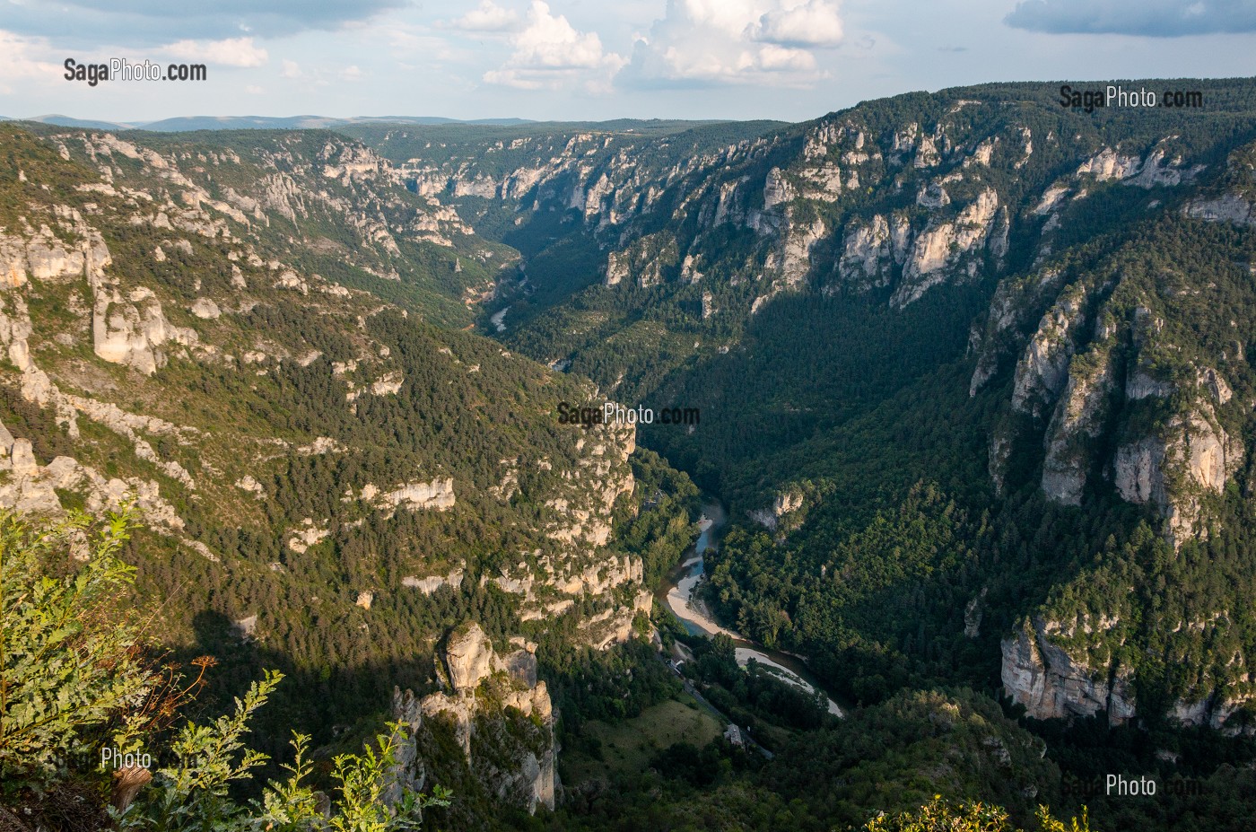 POINT SUBLIME, VUE SUR LE PANORAMA DES GORGES DU TARN SUR LE CAUSSE DE SAUVETERRE, CIRQUE DES BAUMES, LOZERE (48), FRANCE1 