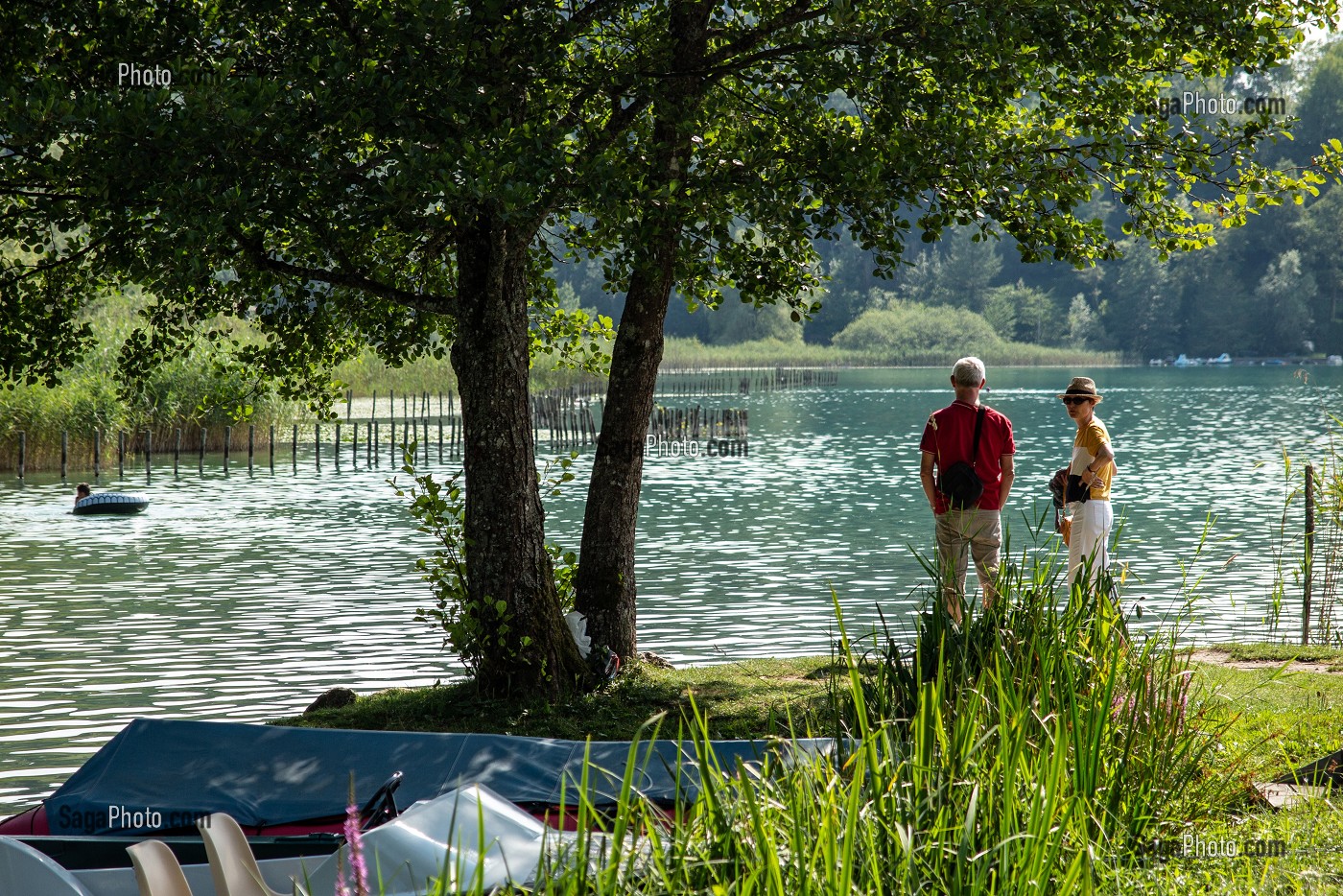 BALADE AU PORT DE PLAISANCE DE AIGUEBELETTE-LE-LAC, SAVOIE (73), FRANCE 