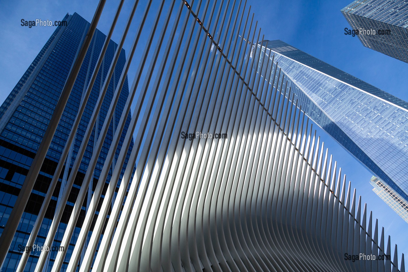 DETAIL DE L'OCULUS GARE FUTURISTE EN FORME D'AILES D'OISEAU DEVANT LA TOUR DU ONE WORLD TRADE CENTER, MANHATTAN, NEW-YORK, ETATS-UNIS, USA 