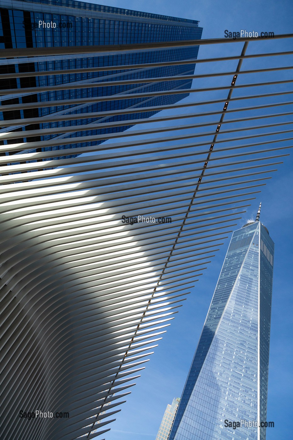 DETAIL DE L'OCULUS, GARE FUTURISTE EN FORME D'AILES D'OISEAU DEVANT LA TOUR DU ONE WORLD TRADE CENTER, MANHATTAN, NEW-YORK, ETATS-UNIS, USA 