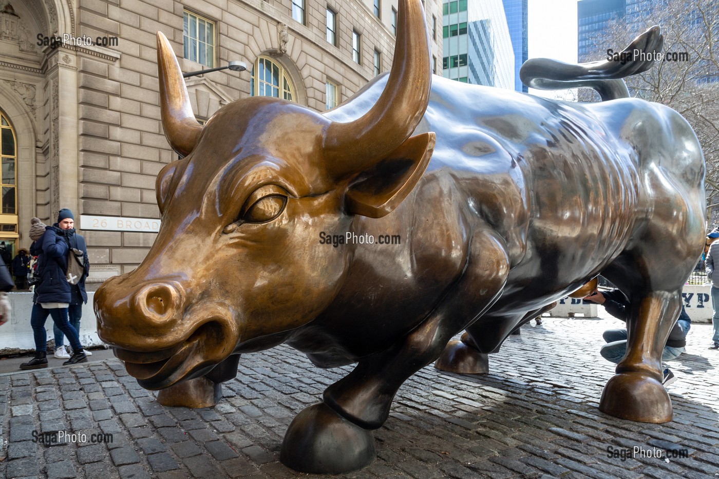 TAUREAU DE WALL STREET OU CHARGING BULL, STATUE EN BRONZE DE L'ARTISTE ARTURO DI MODICA, BOWLING GREEN PARK PRES DE LA BOURSE, MANHATTAN, NEW-YORK, ETATS-UNIS, USA 