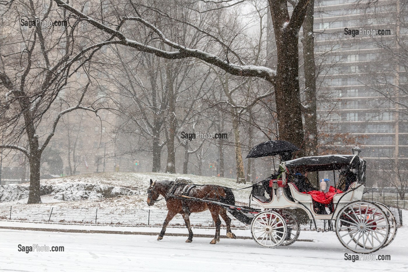 CALECHE DANS CENTRAL PARK UN JOUR DE NEIGE, MANHATTAN, NEW-YORK, ETATS-UNIS, USA 