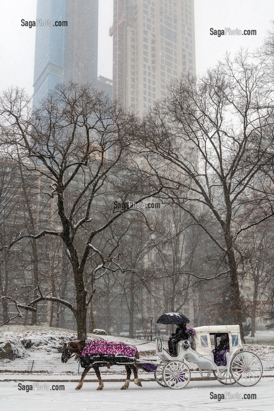 CALECHE DANS CENTRAL PARK UN JOUR DE NEIGE, MANHATTAN, NEW-YORK, ETATS-UNIS, USA 