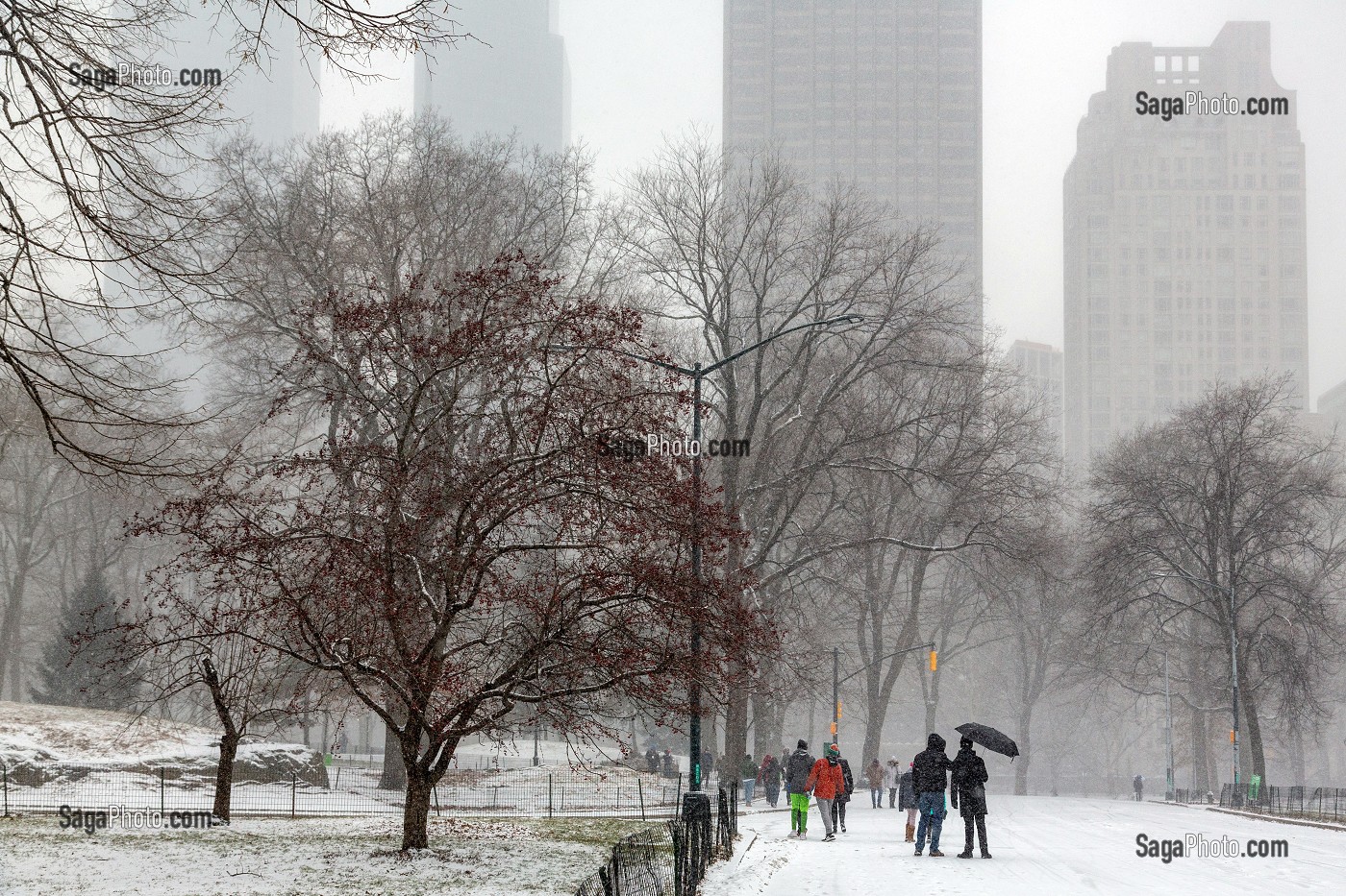 BALADE EN FAMILLE, CENTRAL PARK UN JOUR DE NEIGE, MANHATTAN, NEW-YORK, ETATS-UNIS, USA 