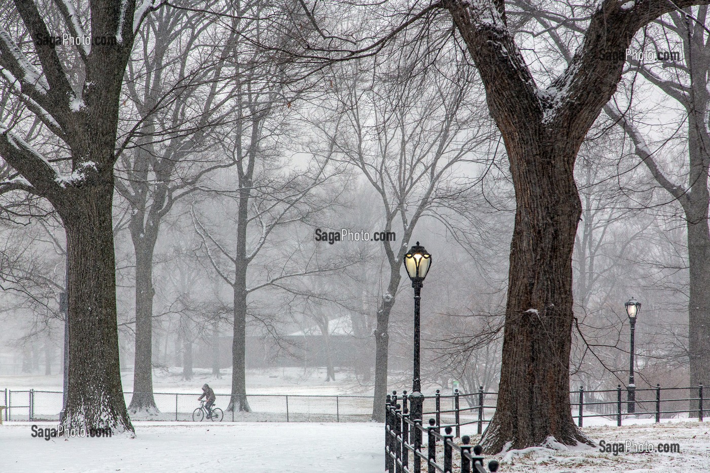 BALADE A VELO, CENTRAL PARK UN JOUR DE NEIGE, MANHATTAN, NEW-YORK, ETATS-UNIS, USA 