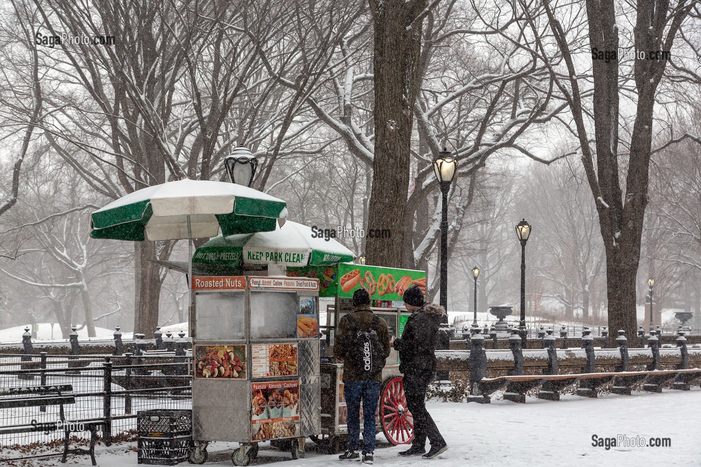 STAND AMBULANT DE HOT DOG ET FRIANDISES, CENTRAL PARK UN JOUR DE NEIGE, MANHATTAN, NEW-YORK, ETATS-UNIS, USA 