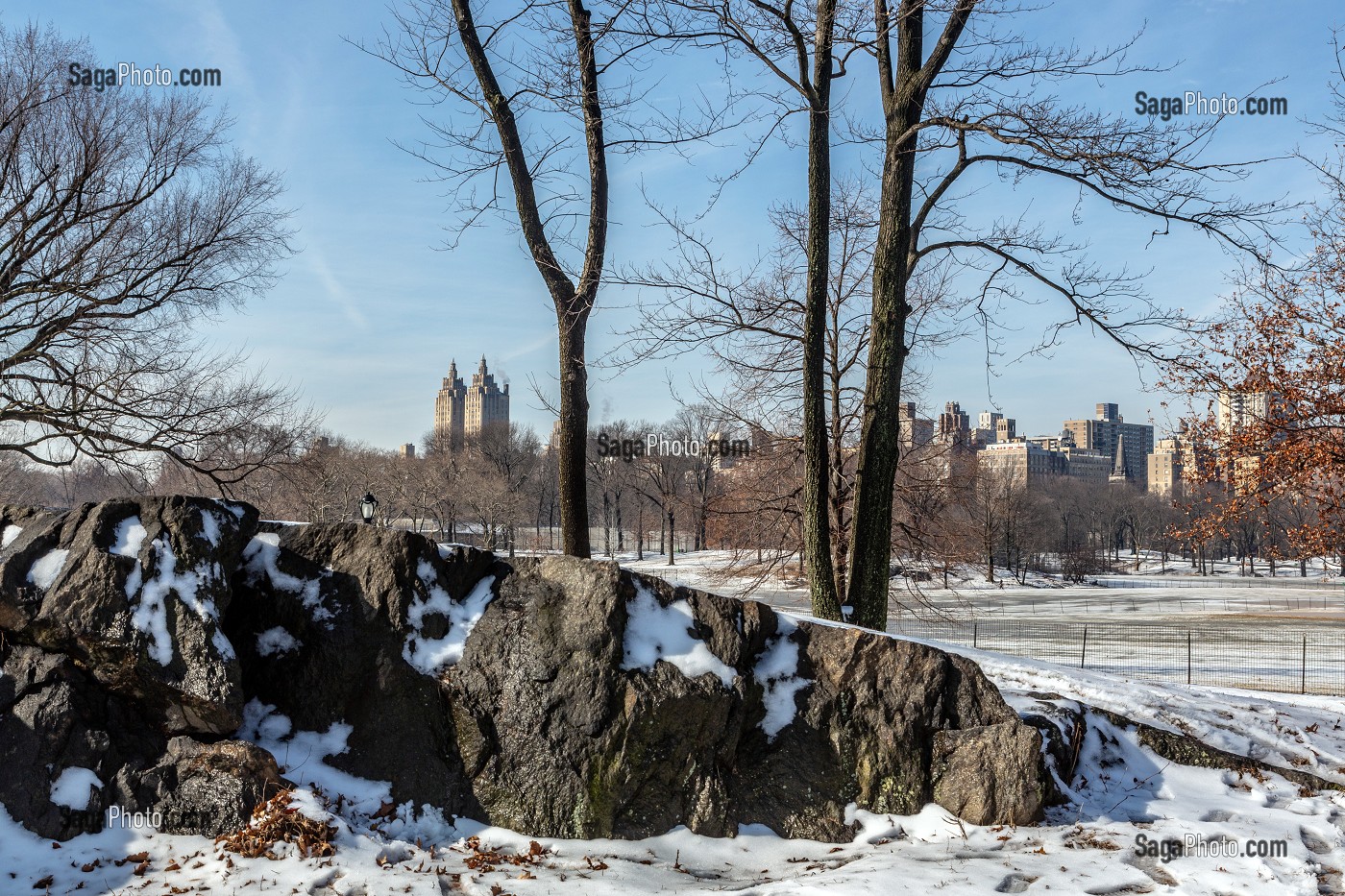 CENTRAL PARK, UN JOUR DE NEIGE, MANHATTAN, NEW-YORK, ETATS-UNIS, USA 