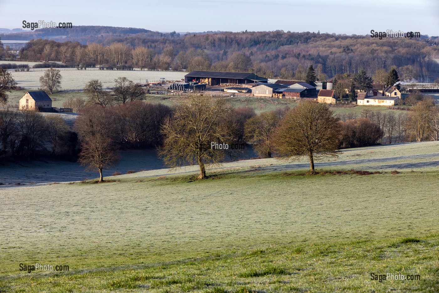 FERME DANS LA CAMPAGNE PERCHERONNE AU PETIT MATIN, MOULIN-LA-MARCHE (61), PERCHE, FRANCE 