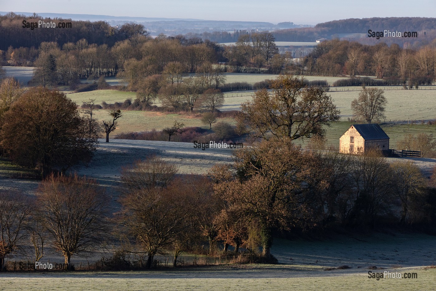 PETITE MAISON DANS LA CAMPAGNE PERCHERONNE AU PETIT MATIN, MOULIN-LA-MARCHE (61), PERCHE, FRANCE 