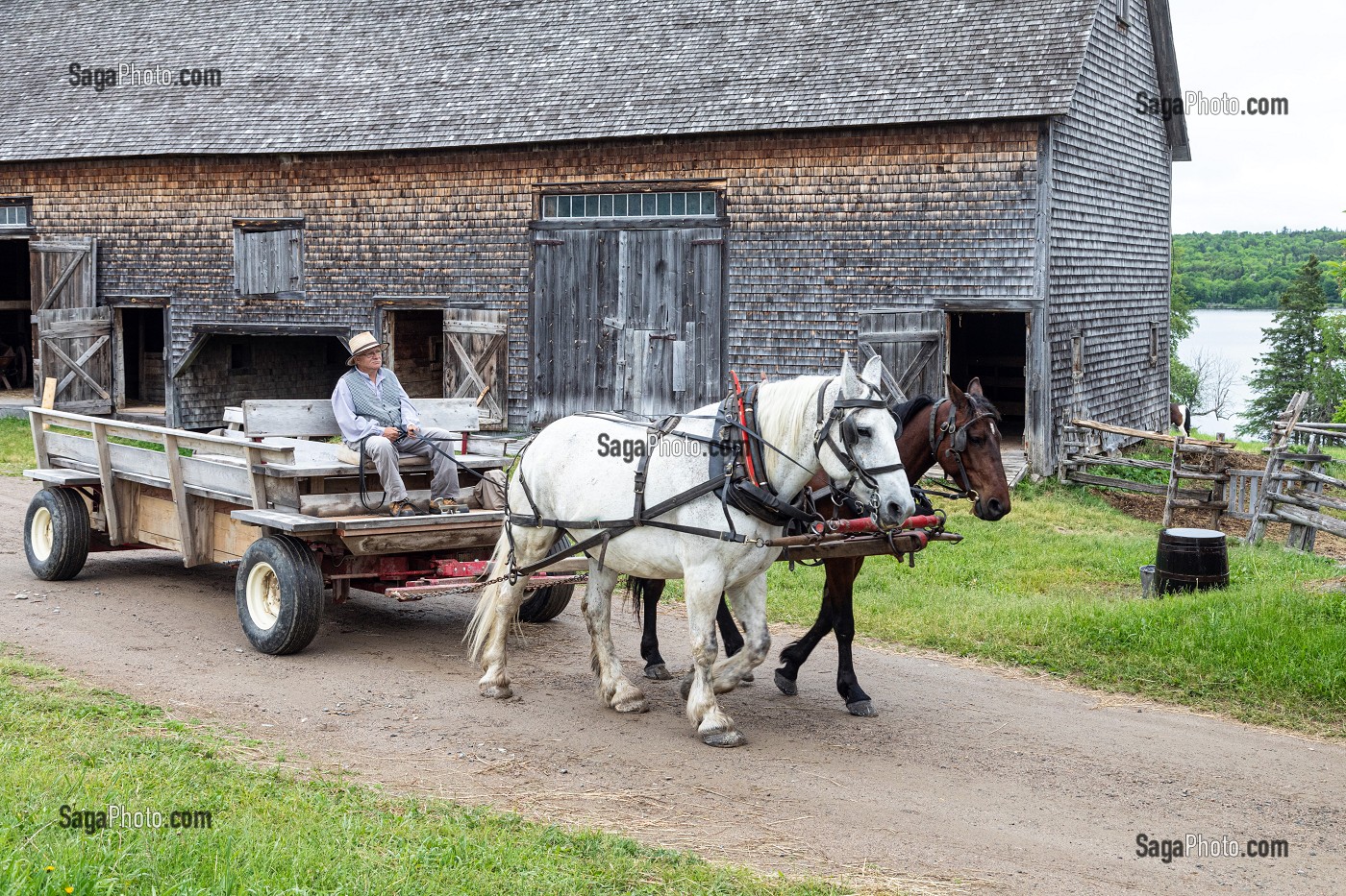 ATTELAGE D'EPOQUE POUR LES TRAVAUX ET DEPLACEMENTS, FERME JOSLIN, KINGS LANDING, VILLAGE HISTORIQUE ANGLOPHONE, PAROISSE DE PRINCE-WILLIAM, FREDERICTON, NOUVEAU-BRUNSWICK, CANADA, AMERIQUE DU NORD 