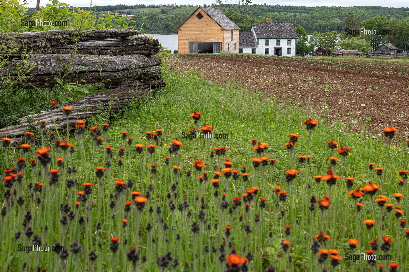 FERME JOSLIN, KINGS LANDING, VILLAGE HISTORIQUE ANGLOPHONE, PAROISSE DE PRINCE-WILLIAM, FREDERICTON, NOUVEAU-BRUNSWICK, CANADA, AMERIQUE DU NORD 