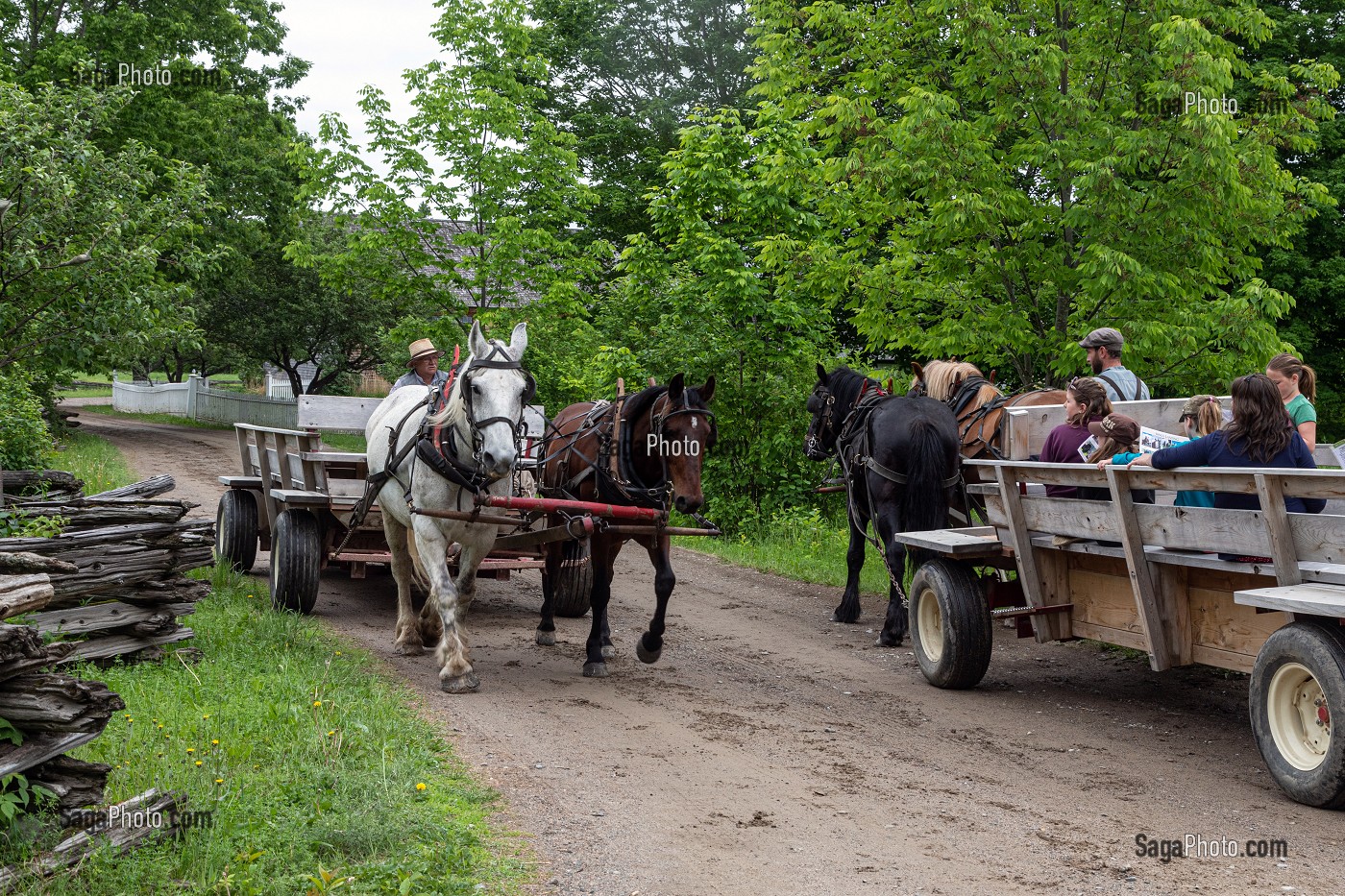 ATTELAGE D'EPOQUE POUR LES DEPLACEMENTS DES VISITEURS, KINGS LANDING, VILLAGE HISTORIQUE ANGLOPHONE, PAROISSE DE PRINCE-WILLIAM, FREDERICTON, NOUVEAU-BRUNSWICK, CANADA, AMERIQUE DU NORD 