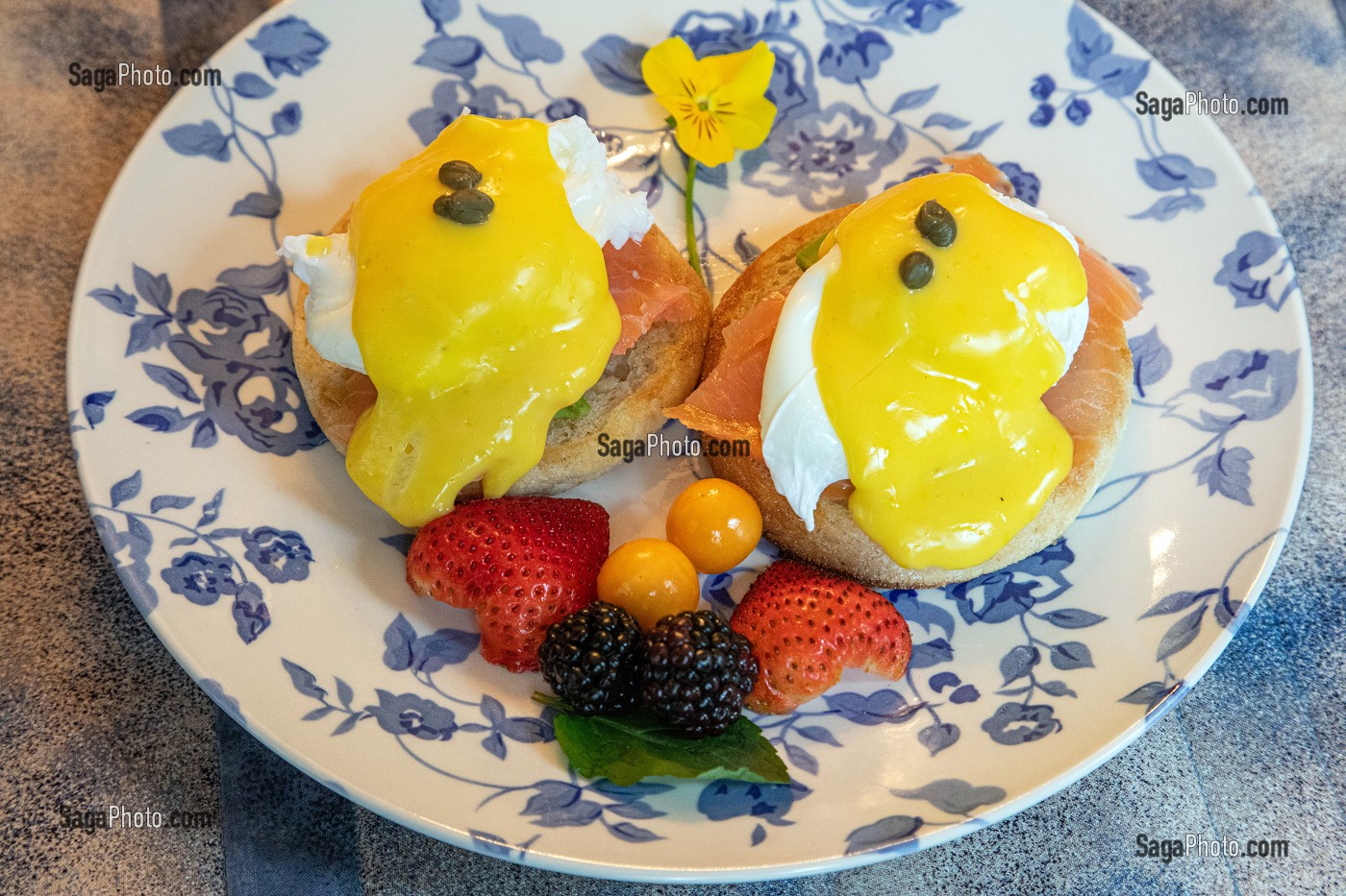 OEUFS BENEDICTINES AU SAUMON, BED AND BREAKFAST, BY THE RIVER, FREDERICTON, NOUVEAU BRUNSWICK, CANADA, AMERIQUE DU NORD 