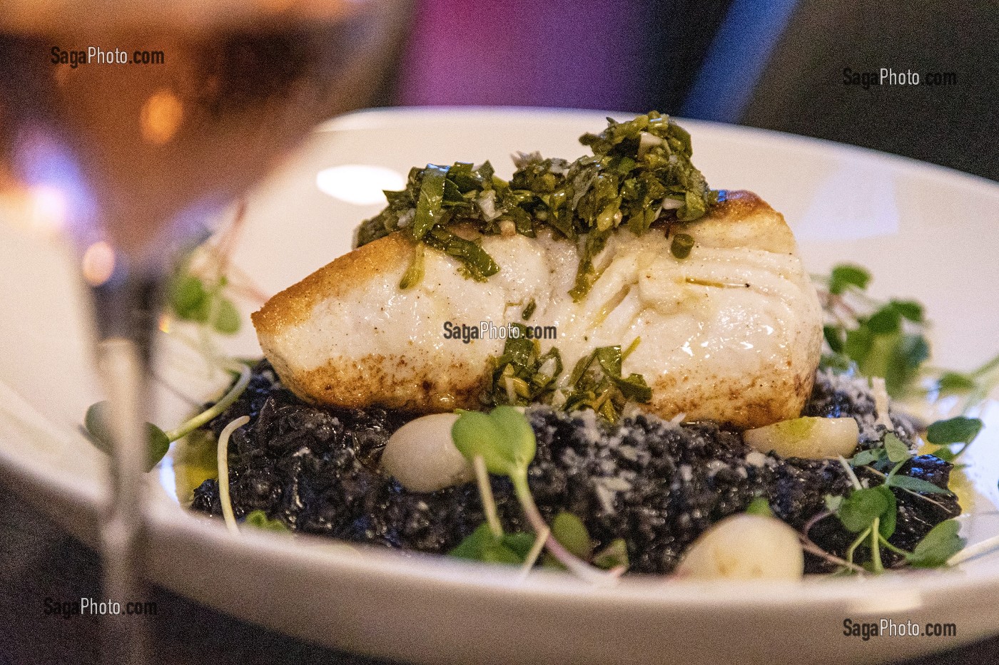 FILET DE FLETAN AU RIZ A L’ENCRE DE SEICHE, RESTAURANT LES BRUMES DU COUDE, MONCTON, NOUVEAU-BRUNSWICK, CANADA, AMERIQUE DU NORD 