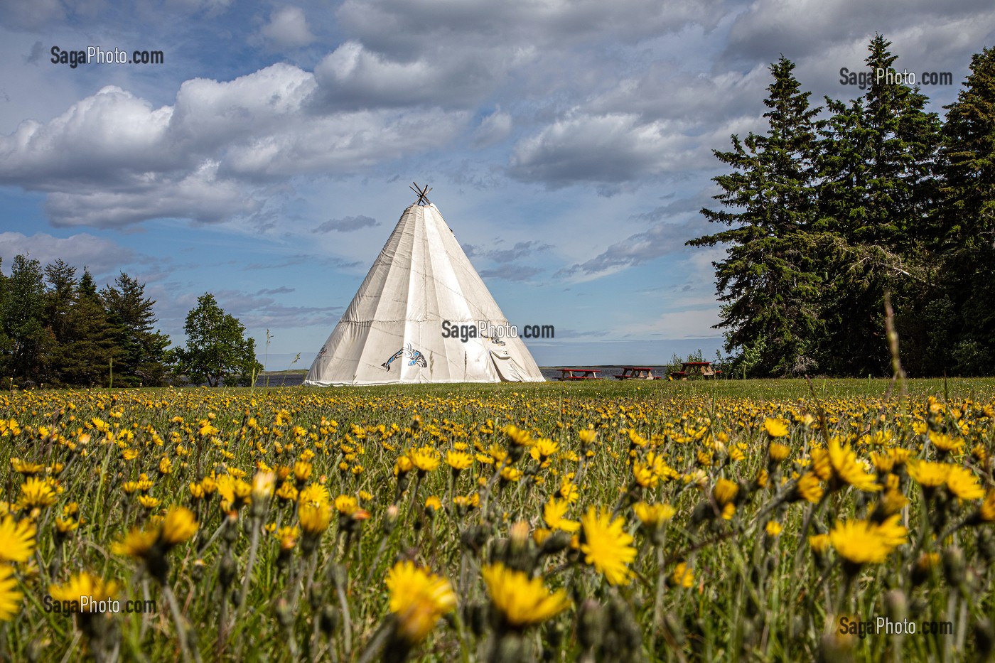 TIPI, DEMEURE TRADITIONNELLE MI'KMAQ DEDIE A L'ENSEIGNEMENT, PARC NATIONAL DE KOUCHIBOUGUAC, NOUVEAU-BRUNSWICK, CANADA, AMERIQUE DU NORD 