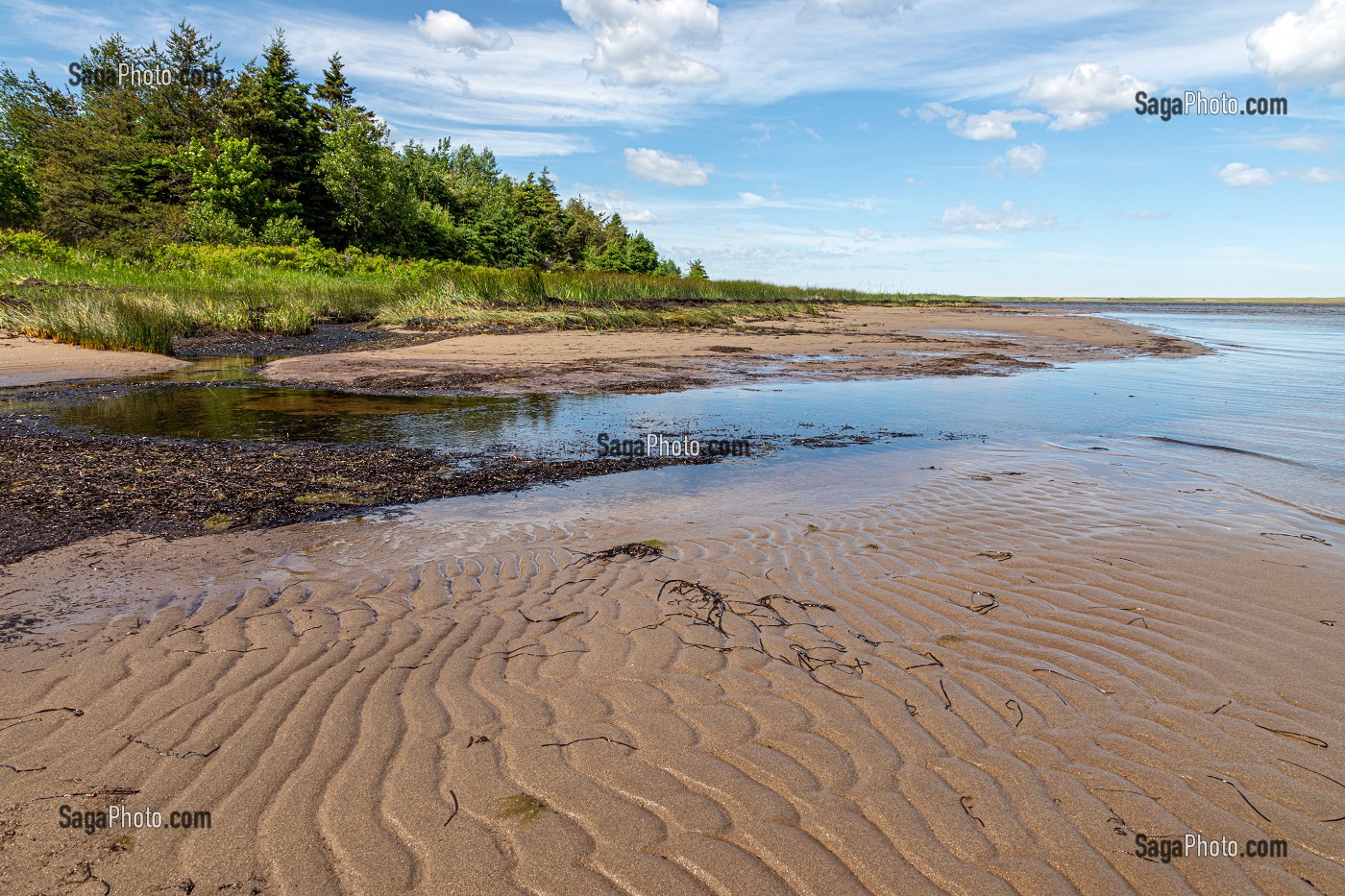 COTE DE LA BAIE DU PARC NATIONAL DE KOUCHIBOUGUAC, NOUVEAU-BRUNSWICK, CANADA, AMERIQUE DU NORD 