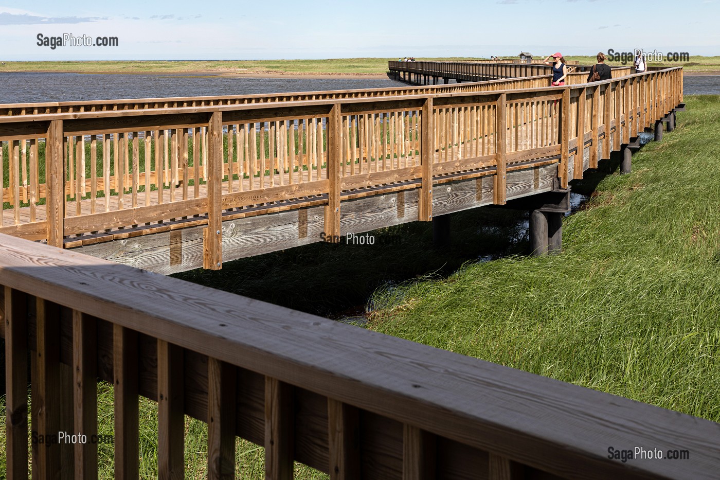 PASSERELLE EN BOIS AU DESSUS DES MARAIS SALANTS POUR REJOINDRE LA PLAGE, PARC NATIONAL DE KOUCHIBOUGUAC, NOUVEAU-BRUNSWICK, CANADA, AMERIQUE DU NORD 