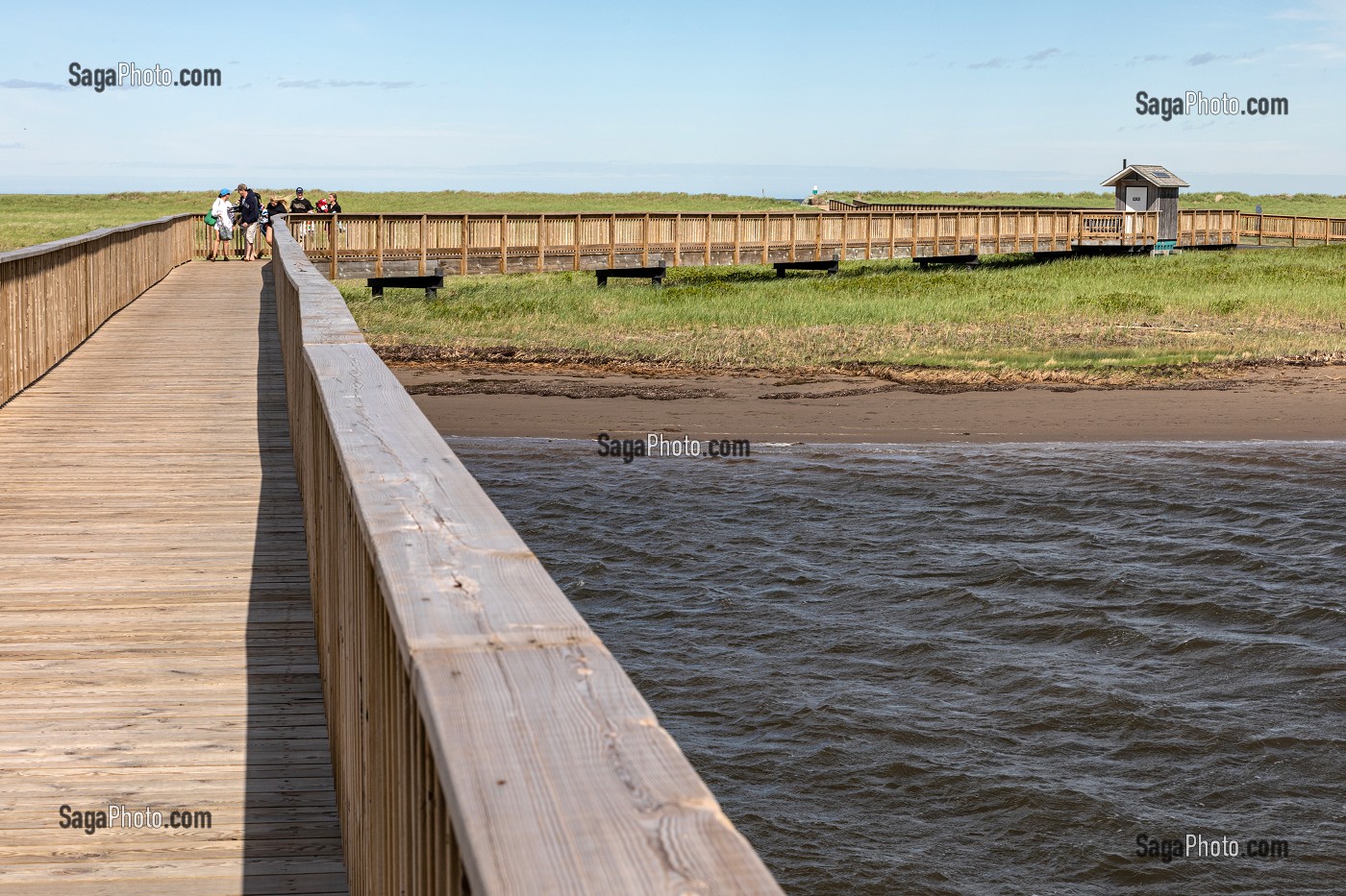 PASSERELLE EN BOIS AU DESSUS DES MARAIS SALANTS POUR REJOINDRE LA PLAGE, PARC NATIONAL DE KOUCHIBOUGUAC, NOUVEAU-BRUNSWICK, CANADA, AMERIQUE DU NORD 