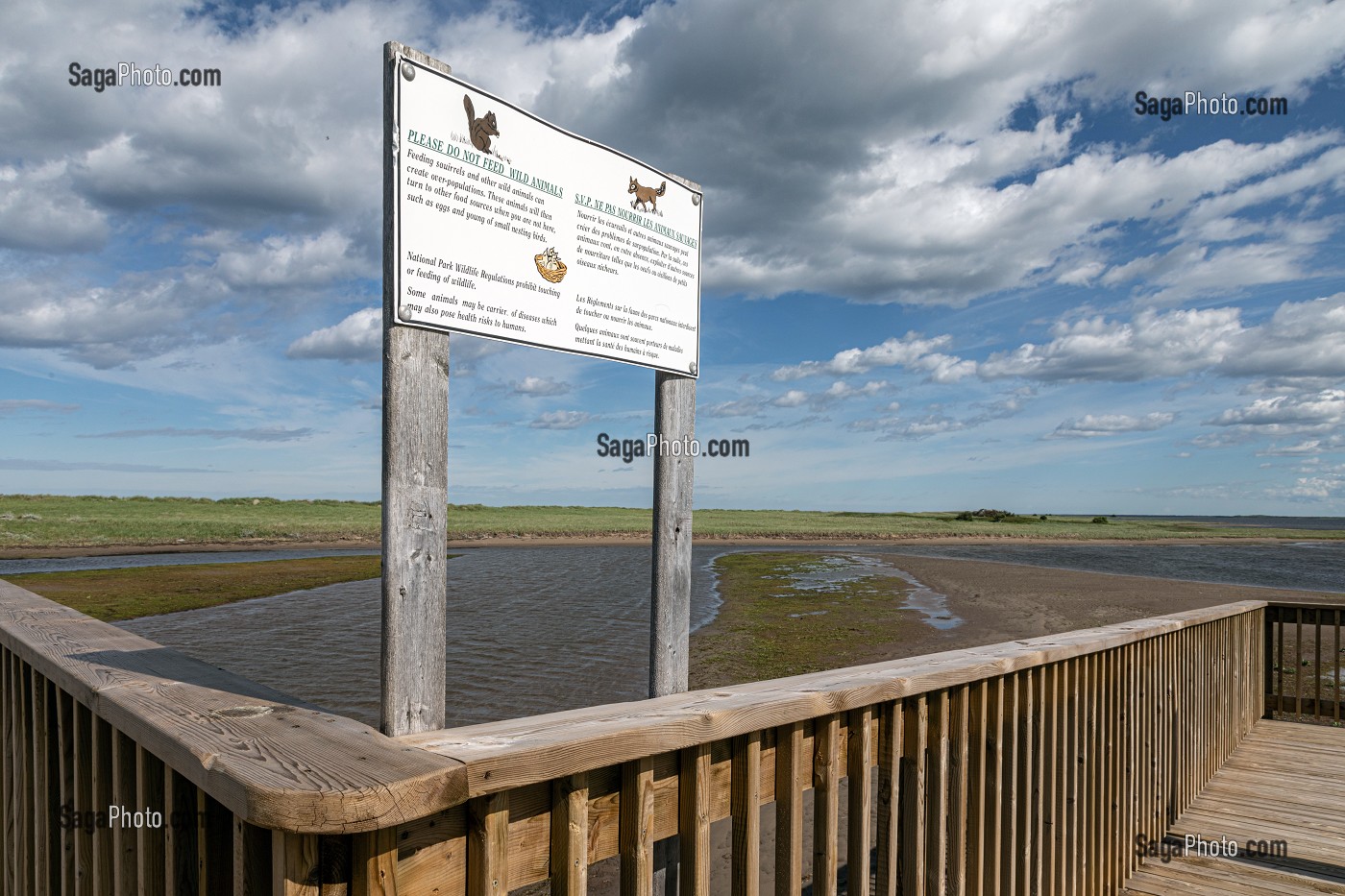 PASSERELLE EN BOIS AU DESSUS DES MARAIS SALANTS POUR REJOINDRE LA PLAGE, PARC NATIONAL DE KOUCHIBOUGUAC, NOUVEAU-BRUNSWICK, CANADA, AMERIQUE DU NORD 