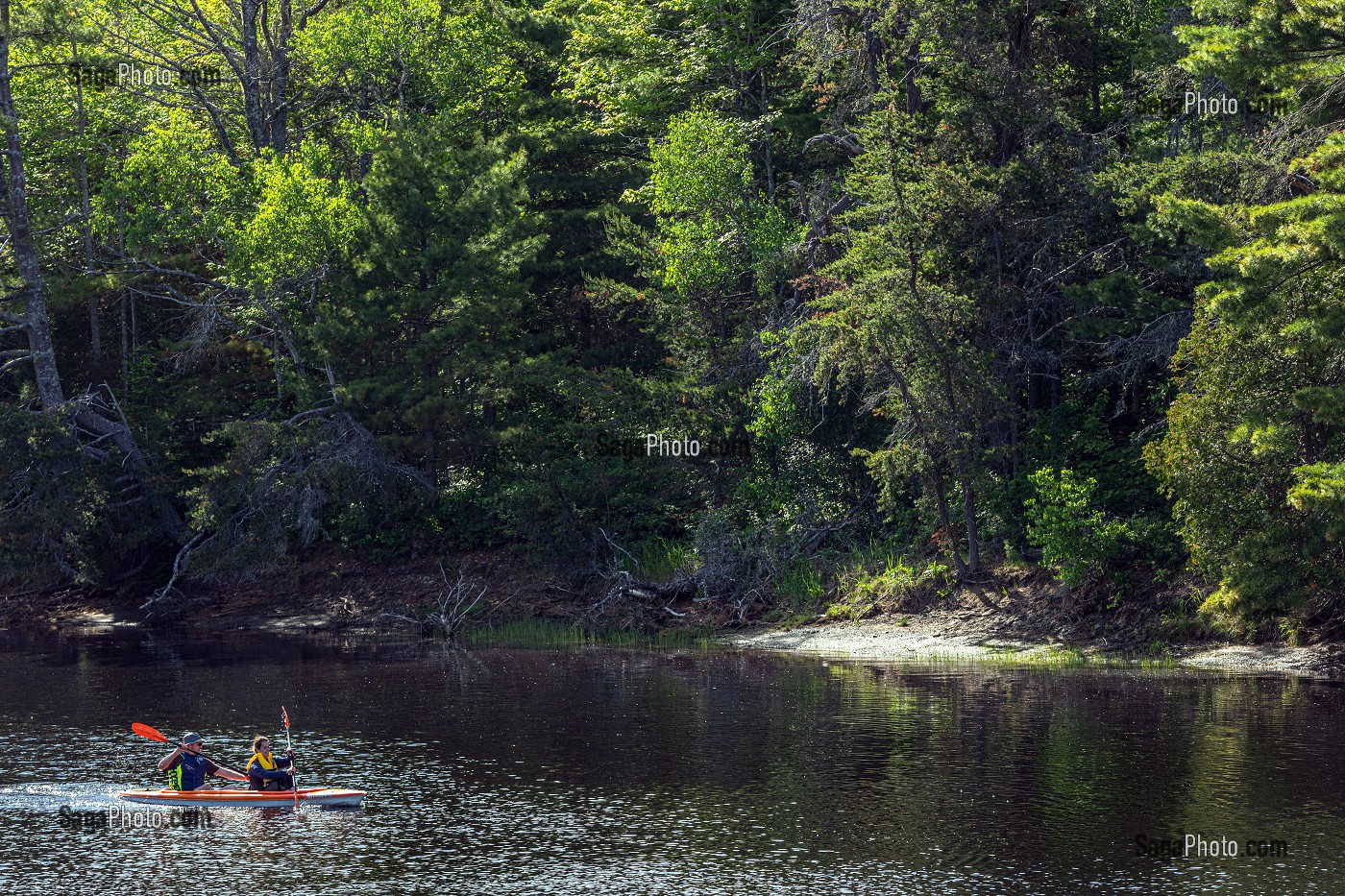 CANOE SUR LA RIVIERE AU MILIEU DE LA FORET, PARC NATIONAL DE KOUCHIBOUGUAC, NOUVEAU-BRUNSWICK, CANADA, AMERIQUE DU NORD 