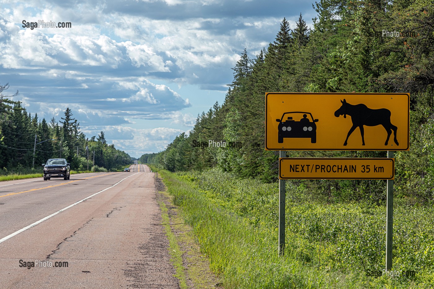 PANNEAU DE SIGNALISATION PREVENANT DE LA TRAVERSEE POSSIBLE D'ORIGNAL SUR LA ROUTE, NOUVEAU-BRUNSWICK, CANADA, AMERIQUE DU NORD 