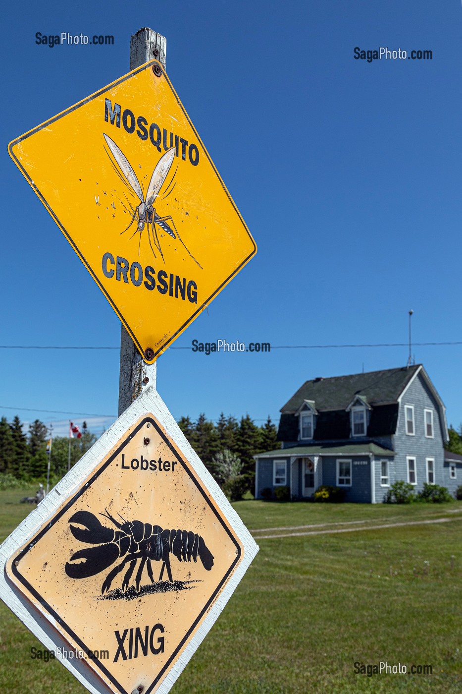 PANNEAUX HUMORISTIQUES POUR SIGNALER LA TRAVERSEE DE HOMARDS ET DE MOUSTIQUES, ILE DE MISCOU, NOUVEAU-BRUNSWICK, CANADA, AMERIQUE DU NORD 