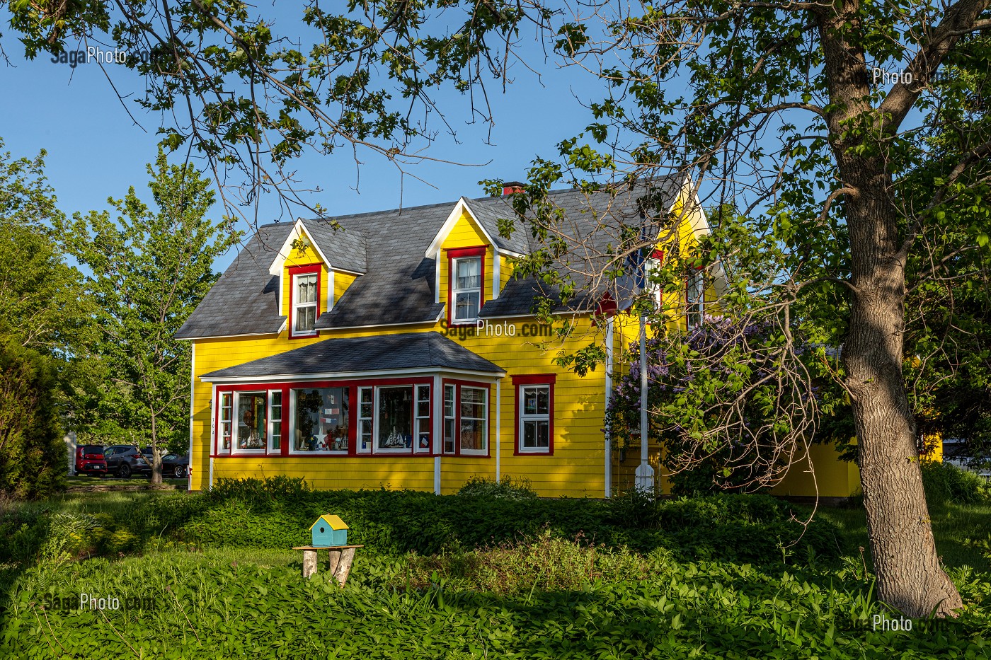 MAISON TRADITIONNELLE EN BOIS PEINT, COULEUR JAUNE, CARAQUET, NOUVEAU-BRUNSWICK, CANADA, AMERIQUE DU NORD 