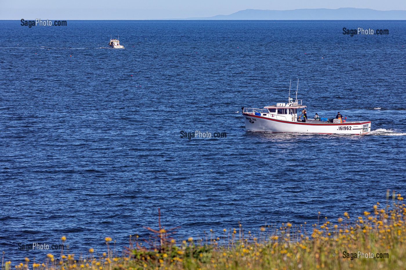 PECHEUR DE HOMARDS DANS LA BAIE DU SAINT-LAURENT, POKESHAW, NOUVEAU-BRUNSWICK, CANADA, AMERIQUE DU NORD 