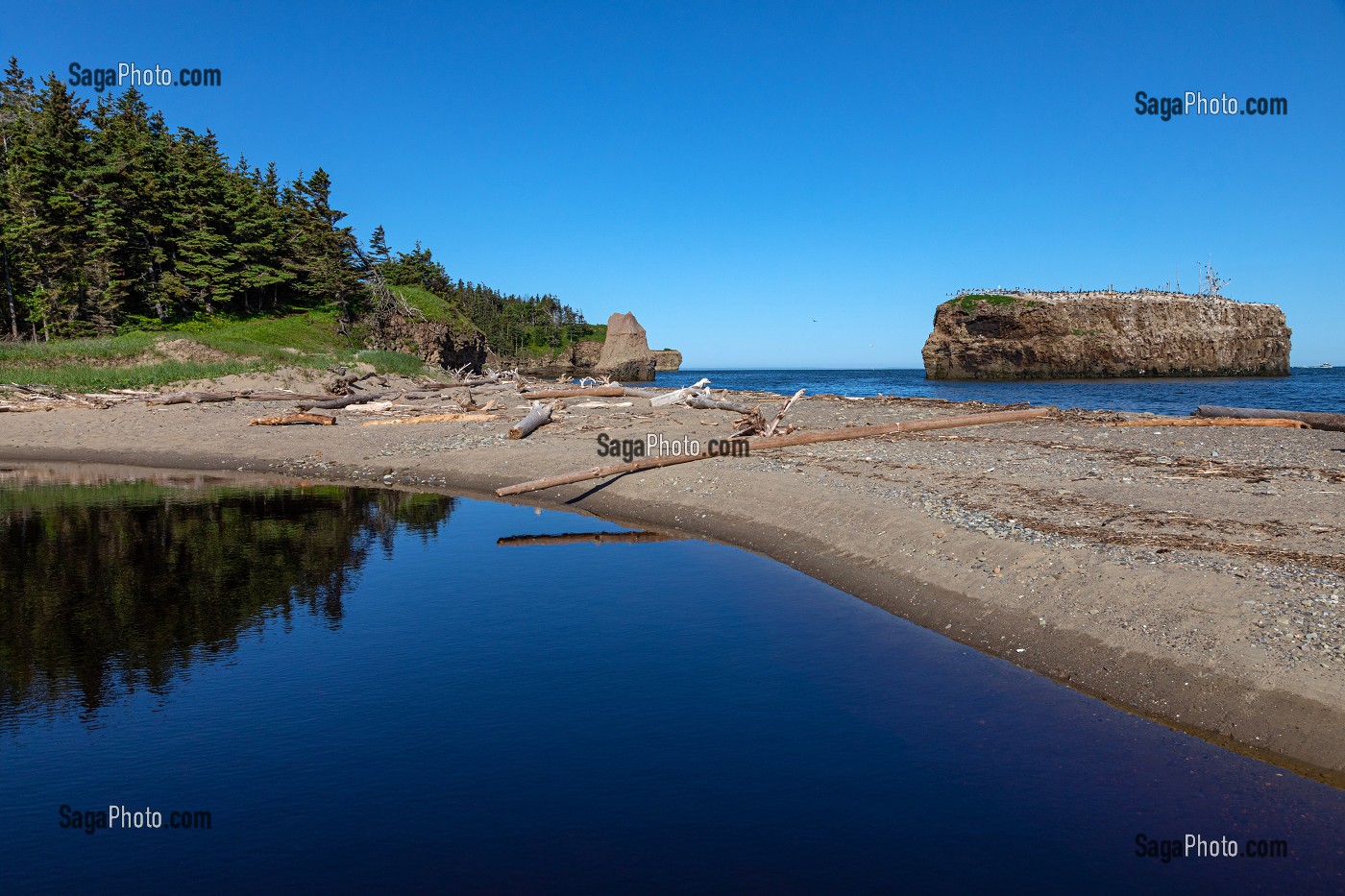 LA PLAGE ET LE ROCHER AUX OISEAUX DE POKESHAW, NOUVEAU-BRUNSWICK, CANADA, AMERIQUE DU NORD 