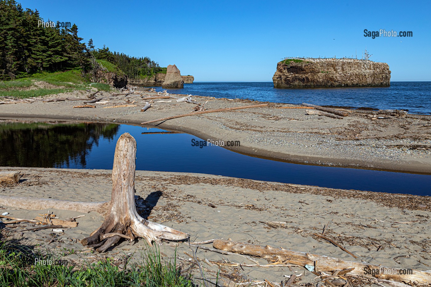 LA PLAGE ET LE ROCHER AUX OISEAUX DE POKESHAW, NOUVEAU-BRUNSWICK, CANADA, AMERIQUE DU NORD 