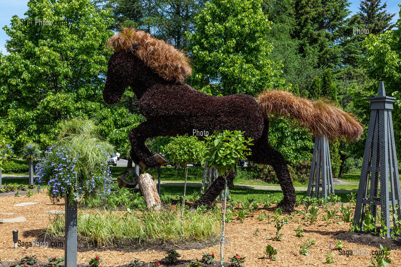 SCULPTURE VEGETALE D'UN CHEVAL AU GALOP, MOSAICULTURE, JARDIN BOTANIQUE, EDMUNDSTON, NOUVEAU-BRUNSWICK, CANADA, AMERIQUE DU NORD 