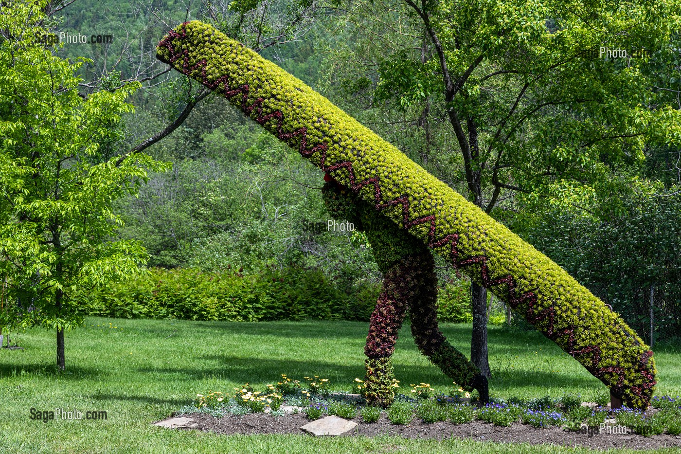 SCULPTURE VEGETALE D'UN AMERINDIEN MI'KMAQ ET SON CANOE, MOSAICULTURE, JARDIN BOTANIQUE, EDMUNDSTON, NOUVEAU-BRUNSWICK, CANADA, AMERIQUE DU NORD 