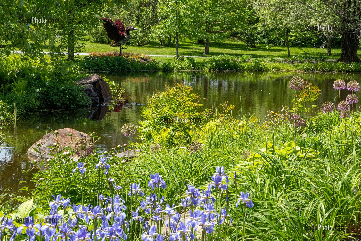 JARDIN BOTANIQUE, EDMUNDSTON, NOUVEAU-BRUNSWICK, CANADA, AMERIQUE DU NORD 