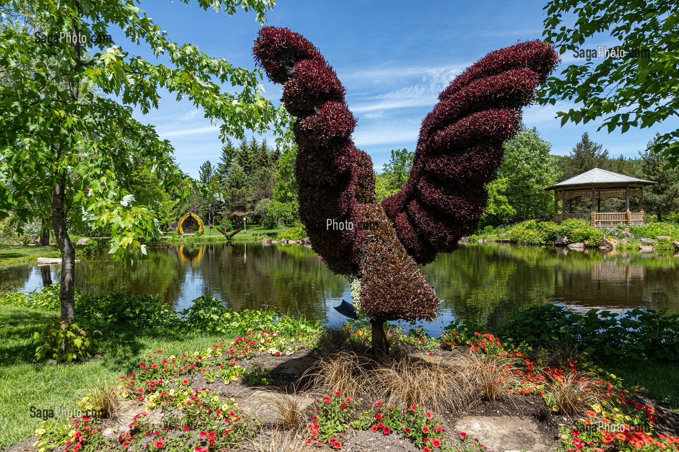 SCULPTURE VEGETALE D'UNE OIE BERNACHE EN VOL, MOSAICULTURE, JARDIN BOTANIQUE, EDMUNDSTON, NOUVEAU-BRUNSWICK, CANADA, AMERIQUE DU NORD 